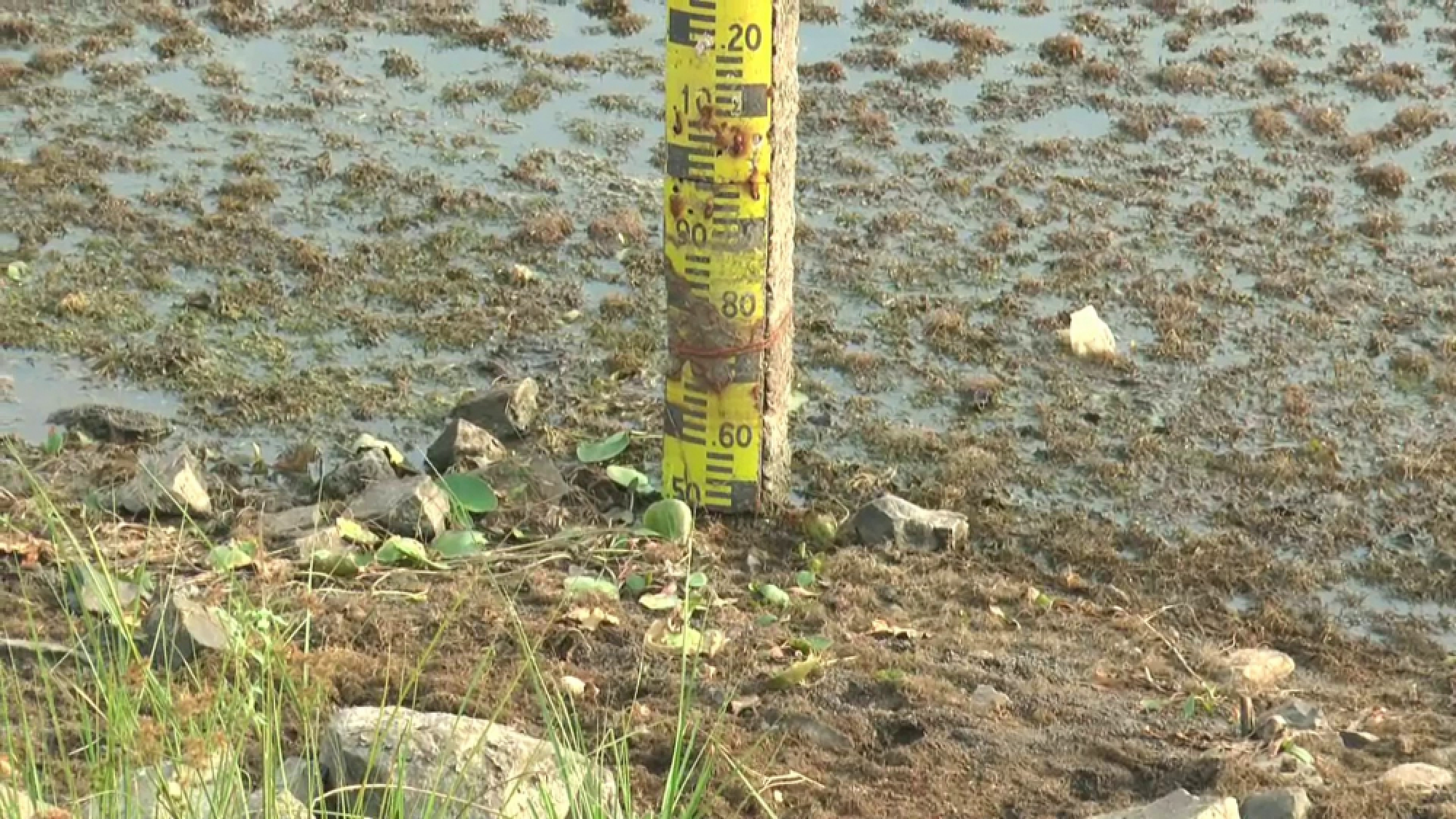 Special rainmaking unit to be set up to alleviate drought in Buri Ram
