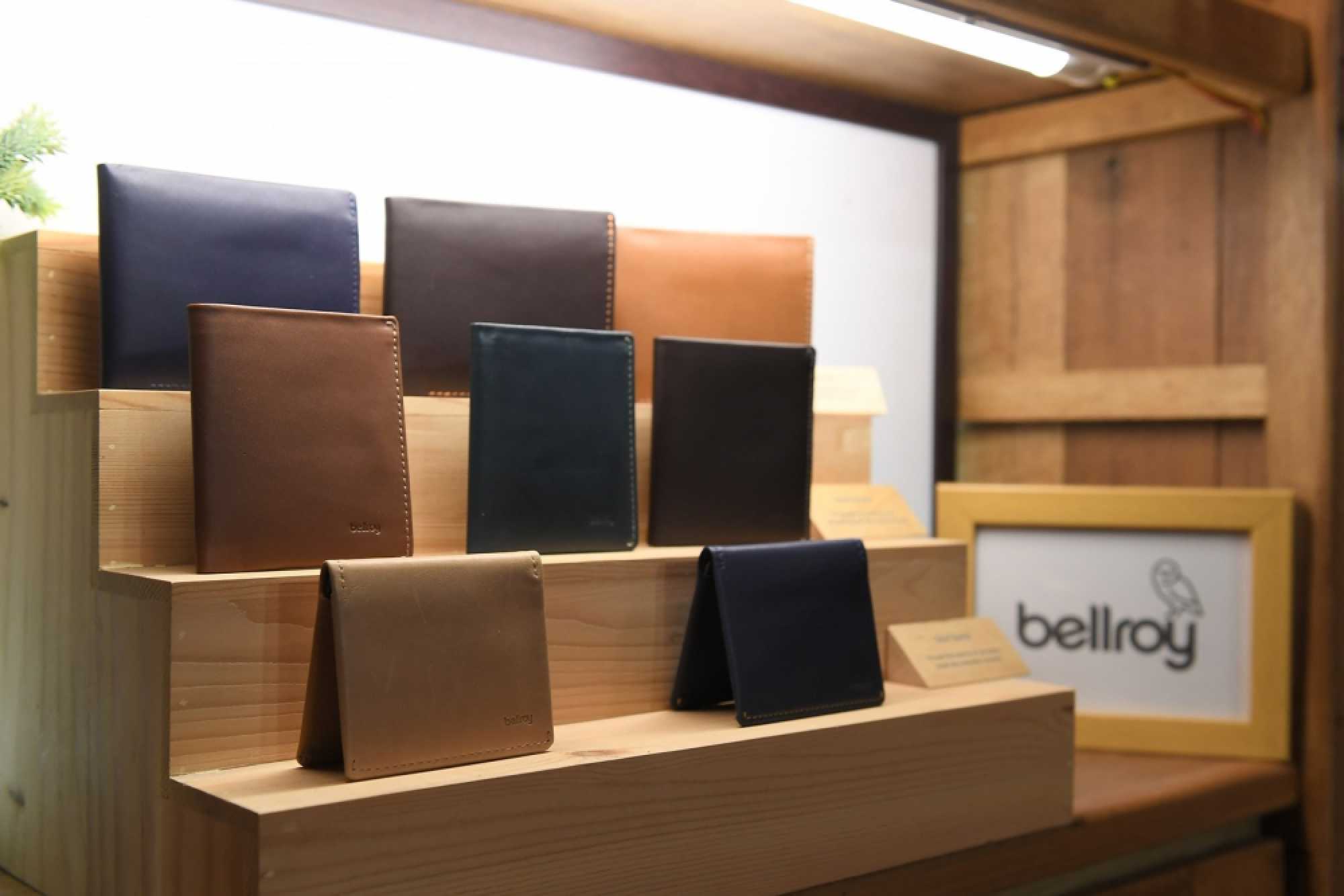 Bellroy in the bag