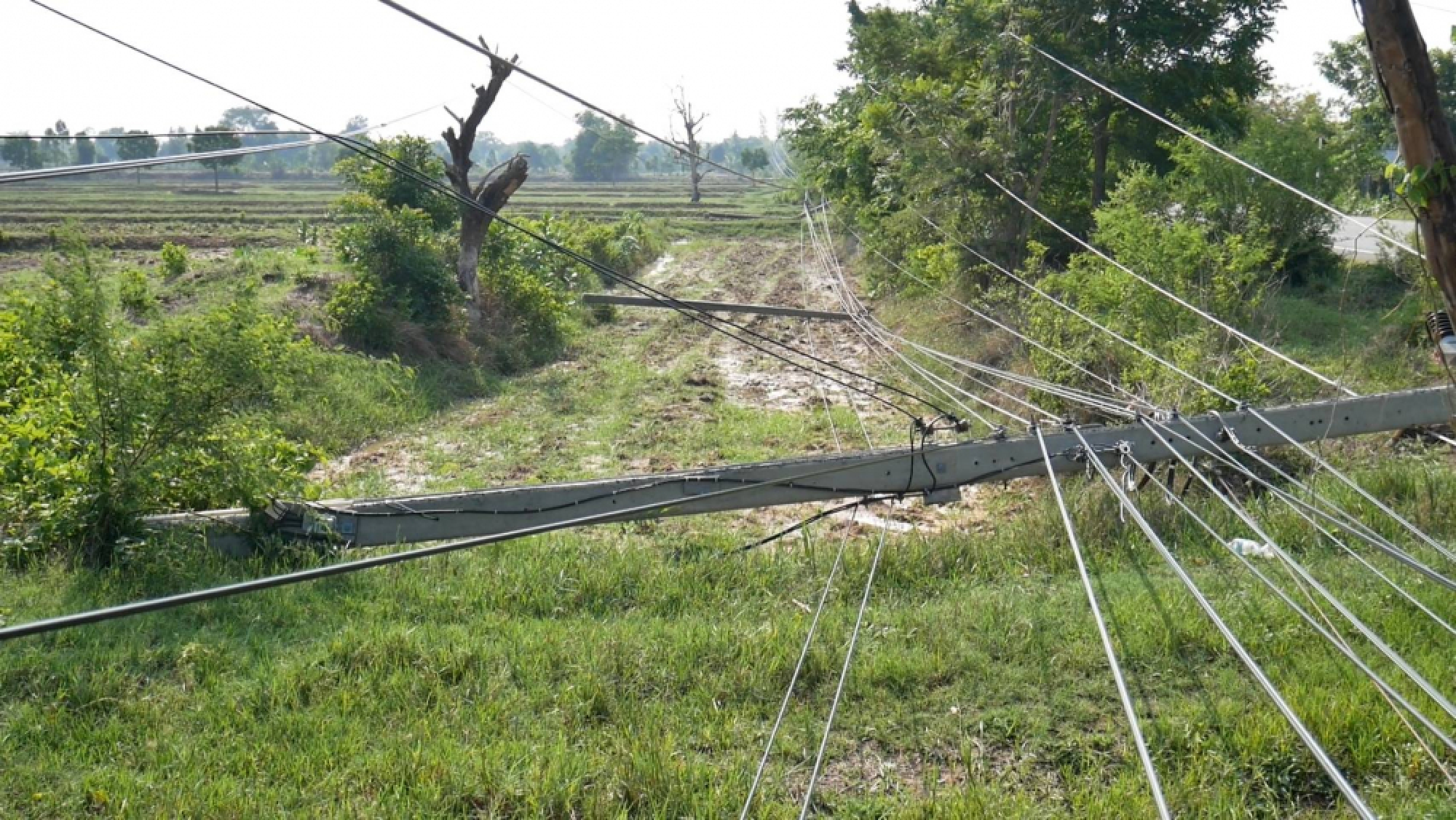 Blackout as storm brings down power poles in Korat district