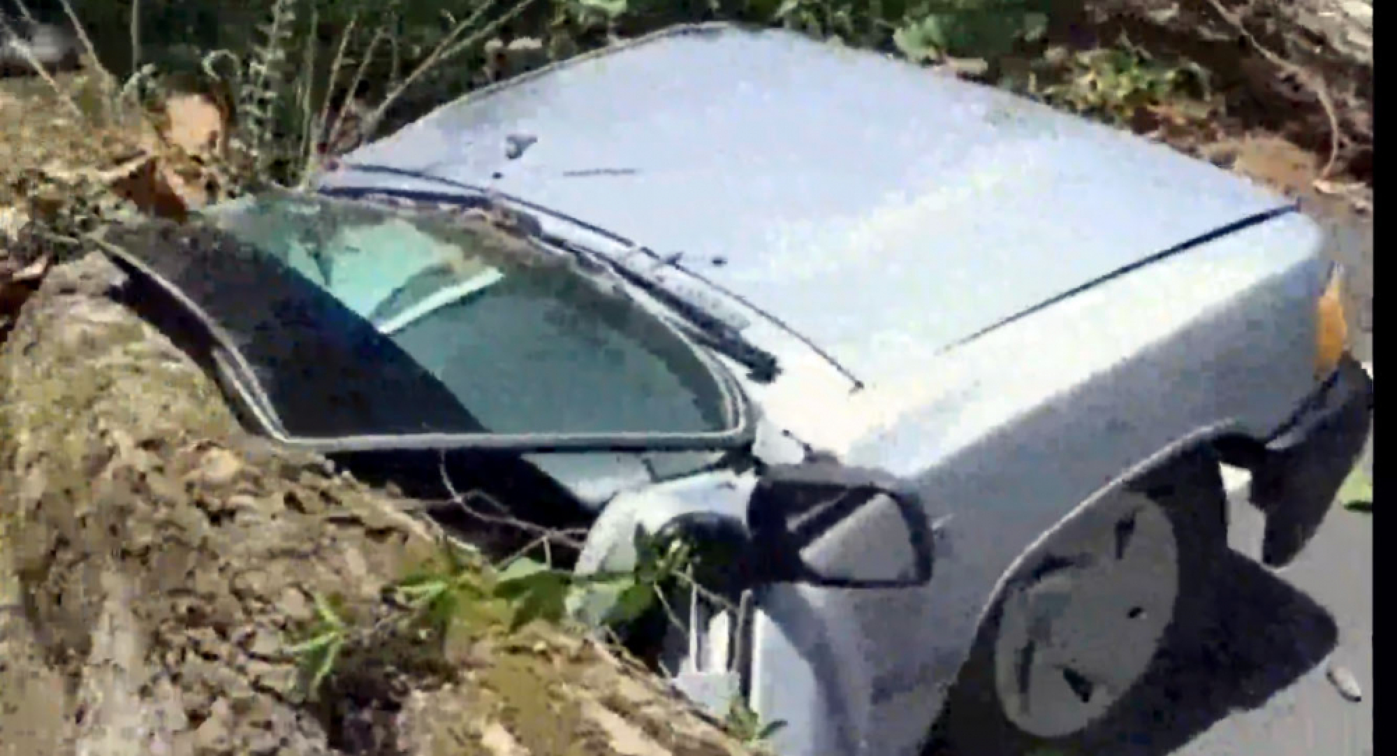 Driver unharmed after Lamphun tree crushes pickup
