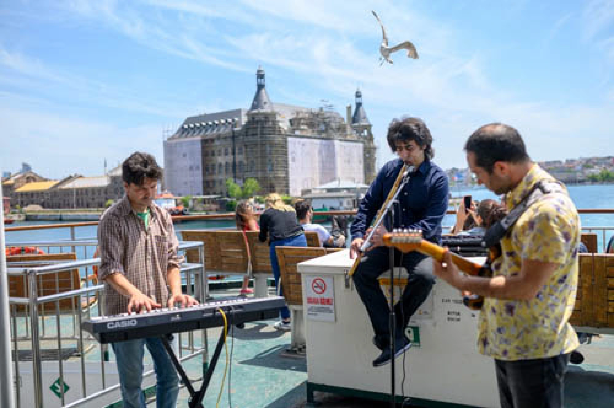 Sounds and seagulls