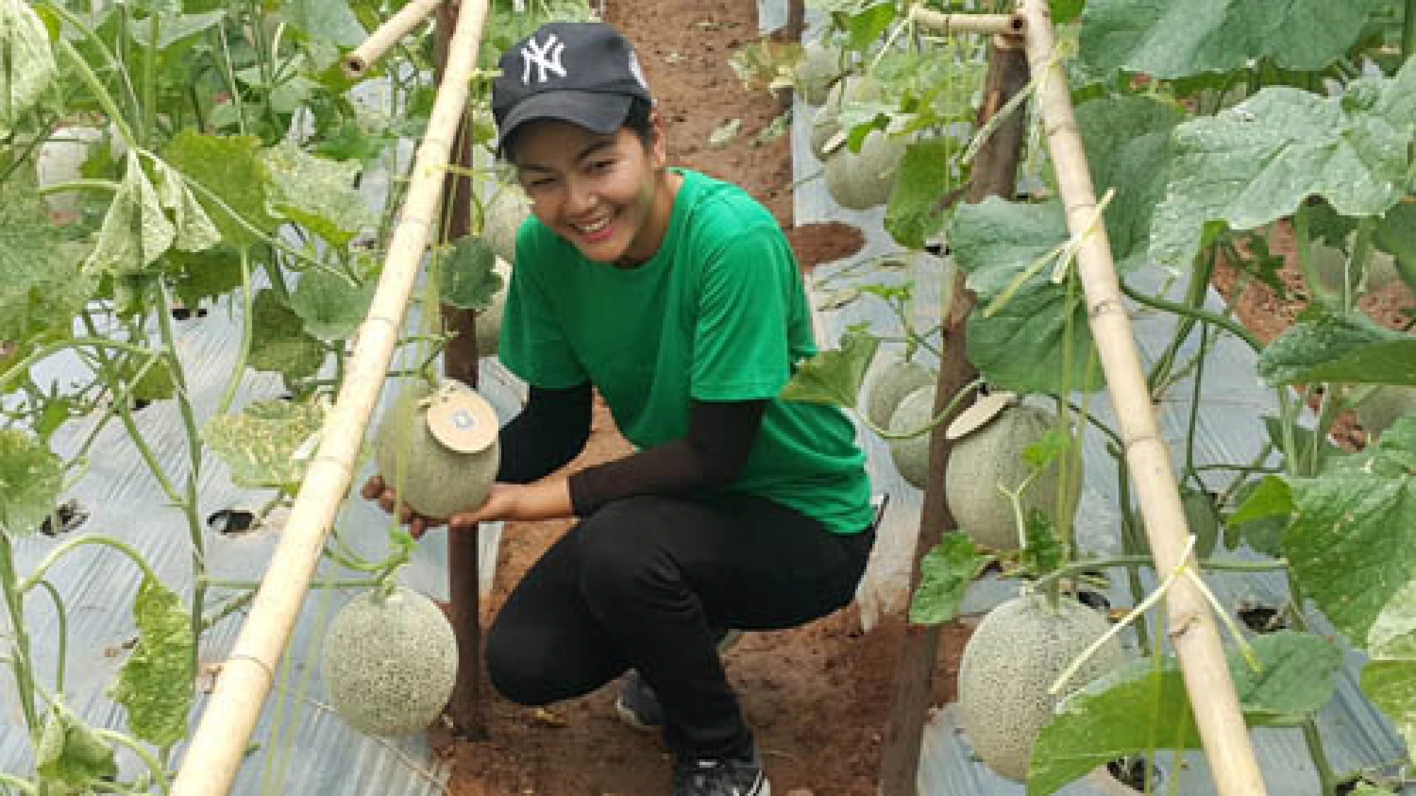 Technology takes command