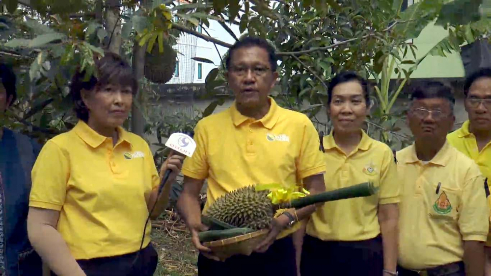 Charity durian festival opens