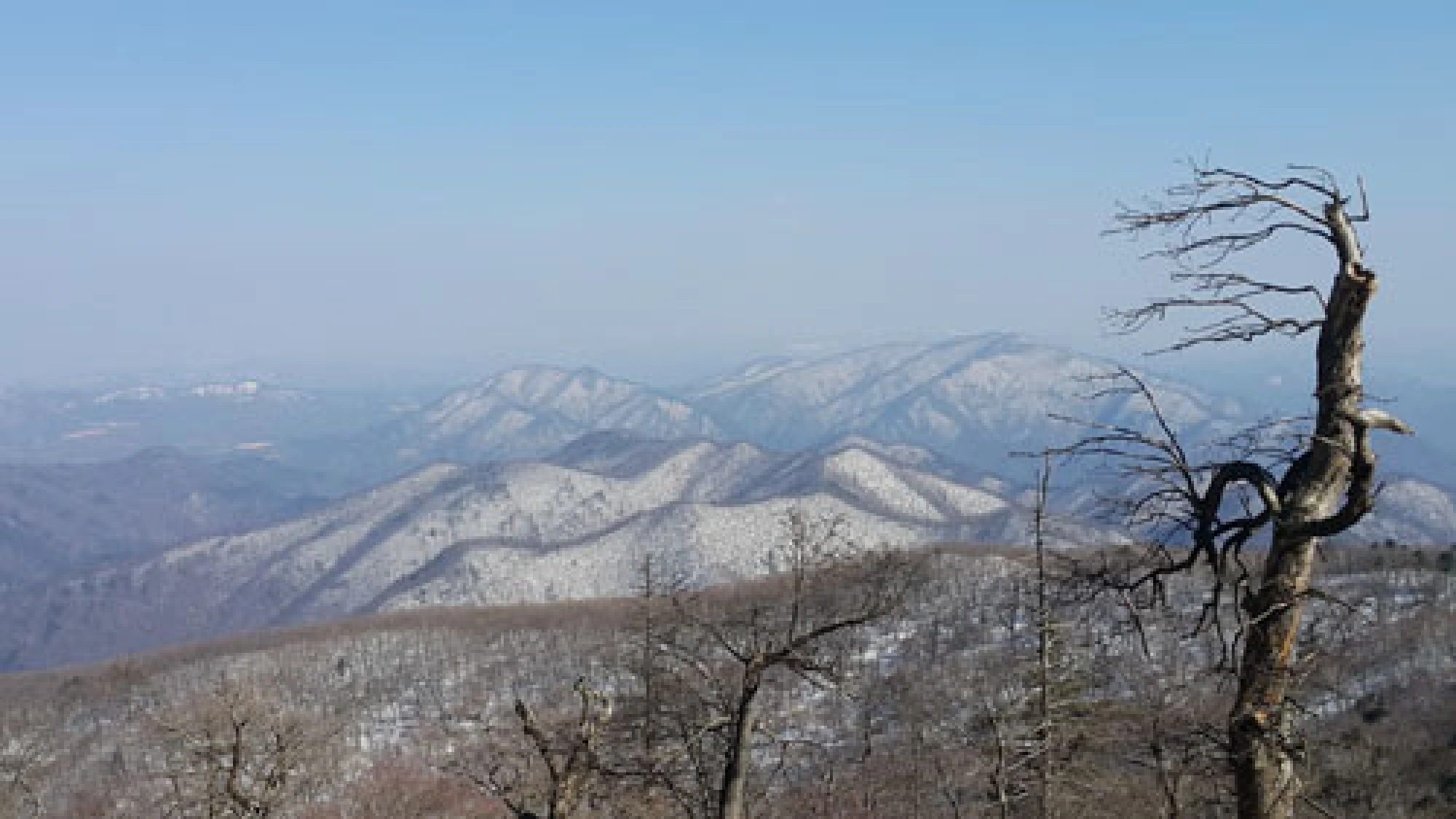 Songkran in the snow