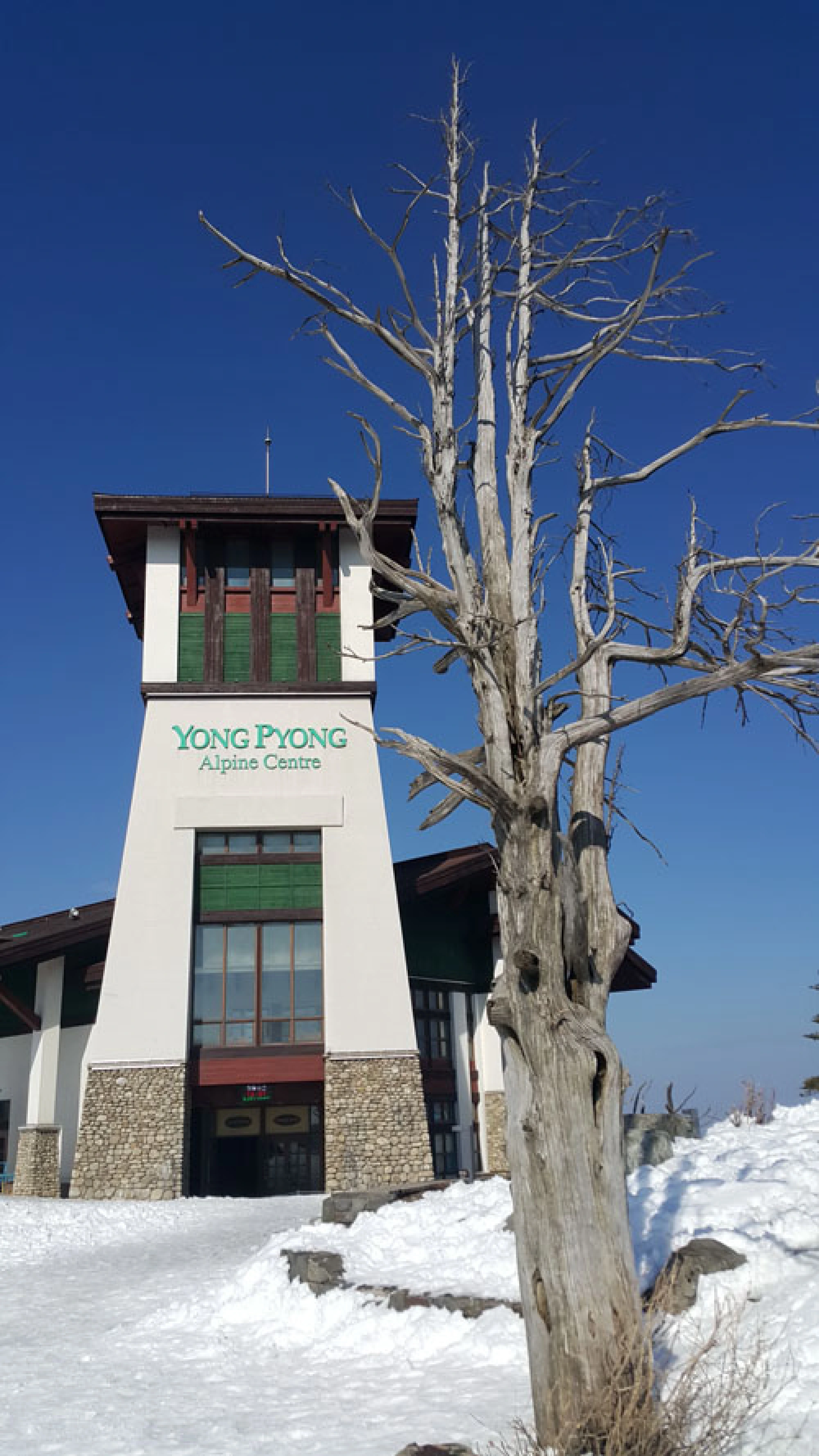 Songkran in the snow