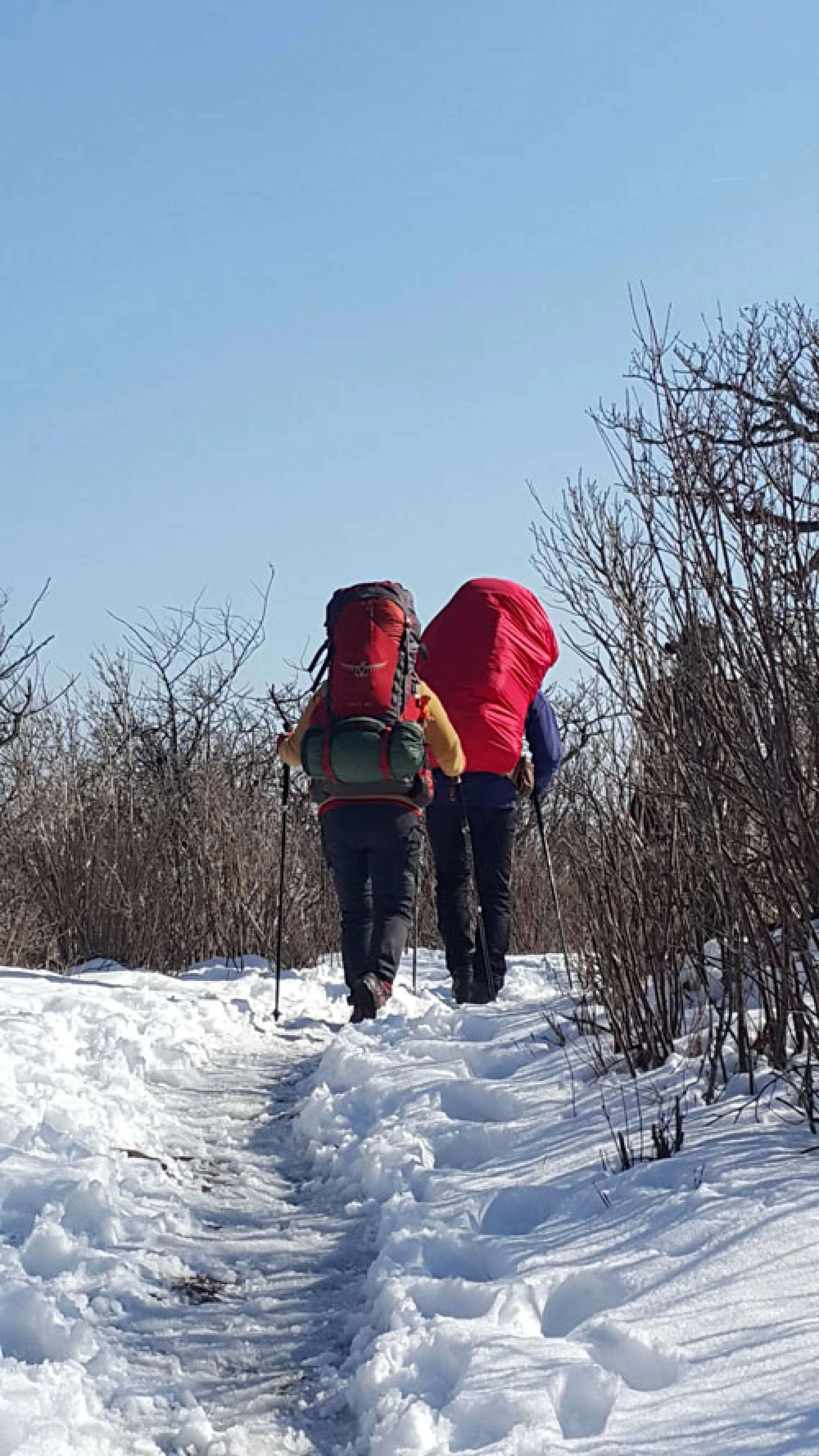 Songkran in the snow