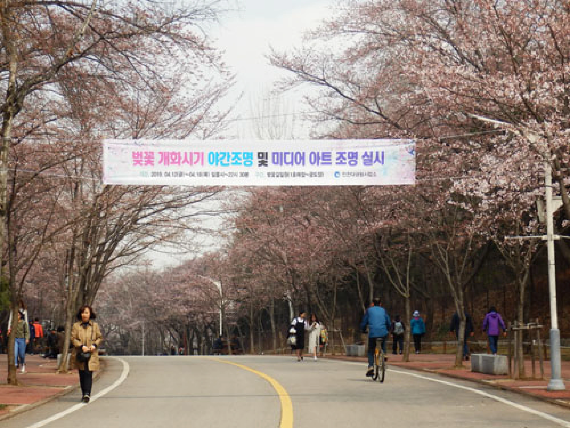 Songkran in the snow
