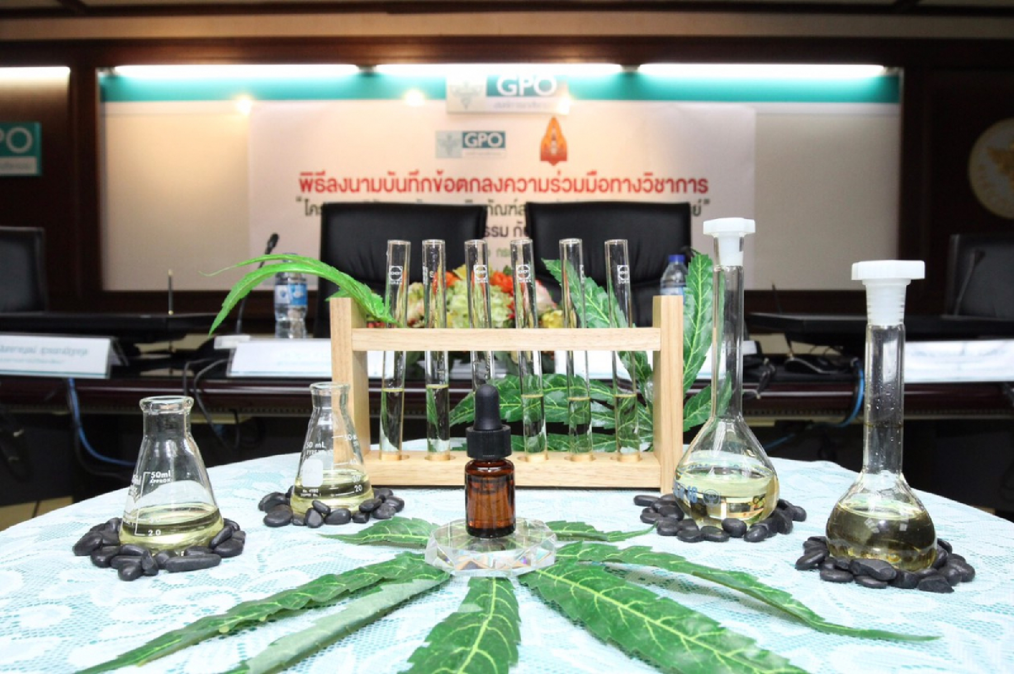 Medical marijuana a done deal for new govt: Anutin