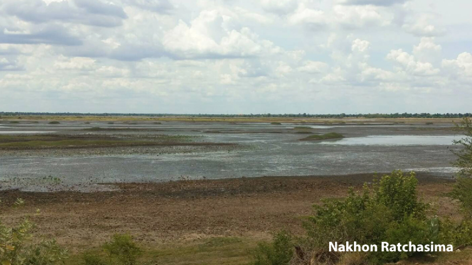 Scent of rain, but agencies scrambling to counter drought