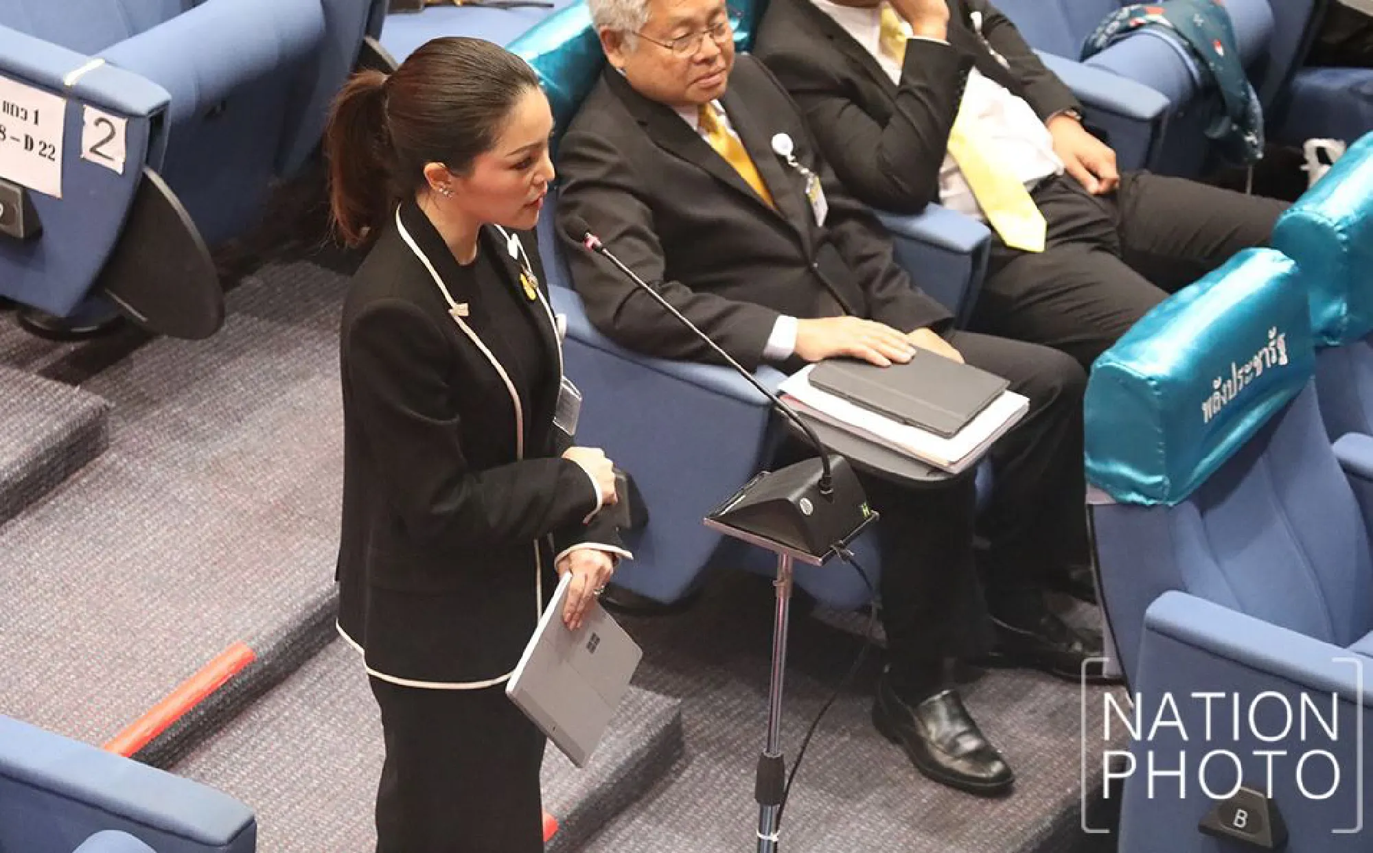 Speaking up for the government