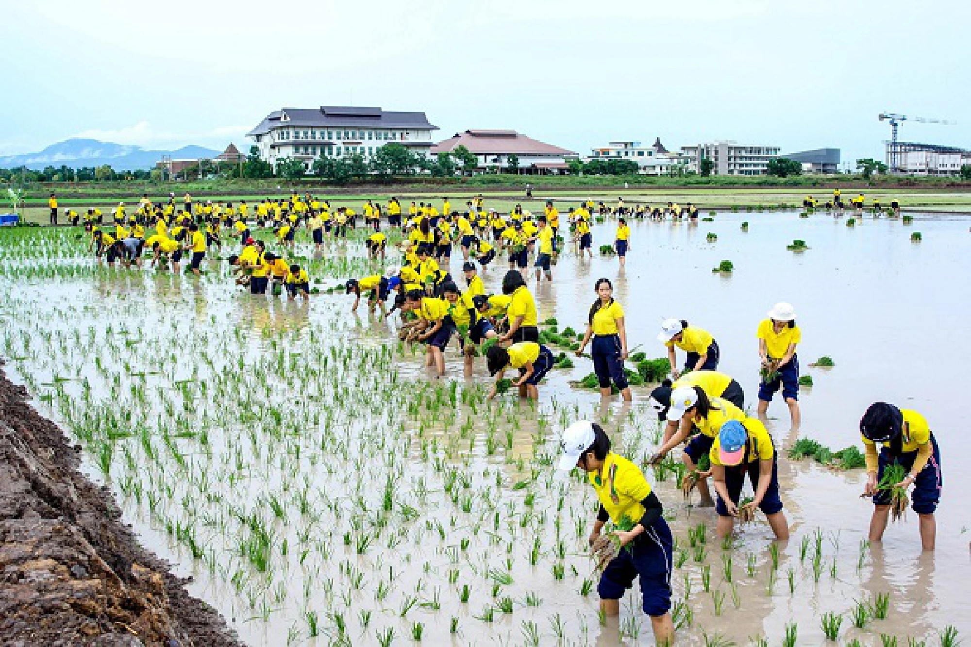 Uttaradit students send love on a massive scale