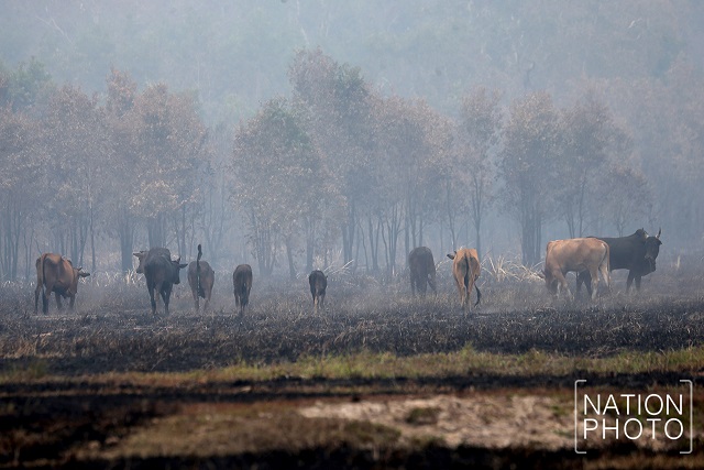 Nation/Charoon Thongnual