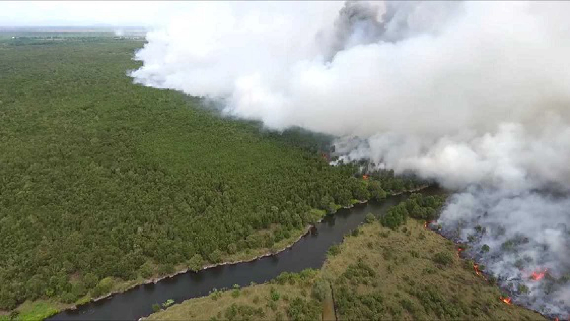 Wildfires threaten forests in Nakhon Si Thammarat 