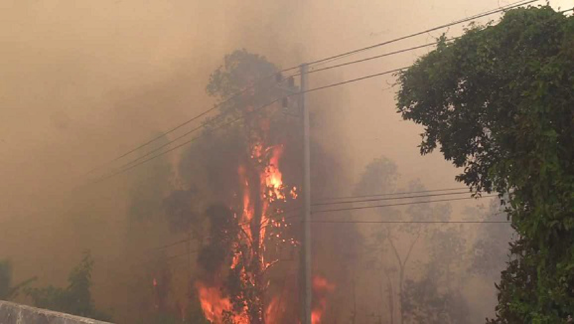 Wildfires threaten forests in Nakhon Si Thammarat 