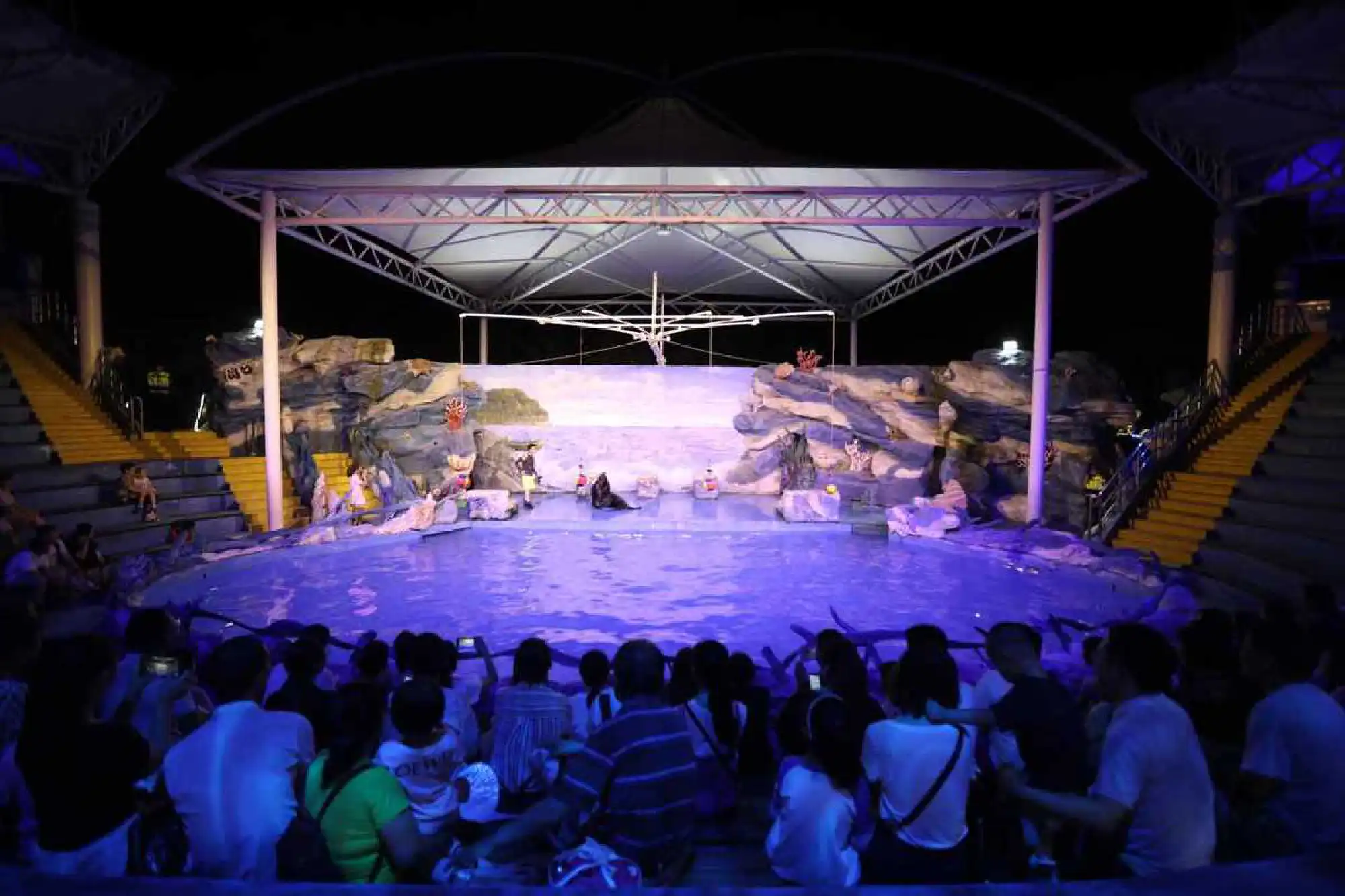 The sea lion performance at the night wild animal park. [Photo provided to chinadaily.com.cn]