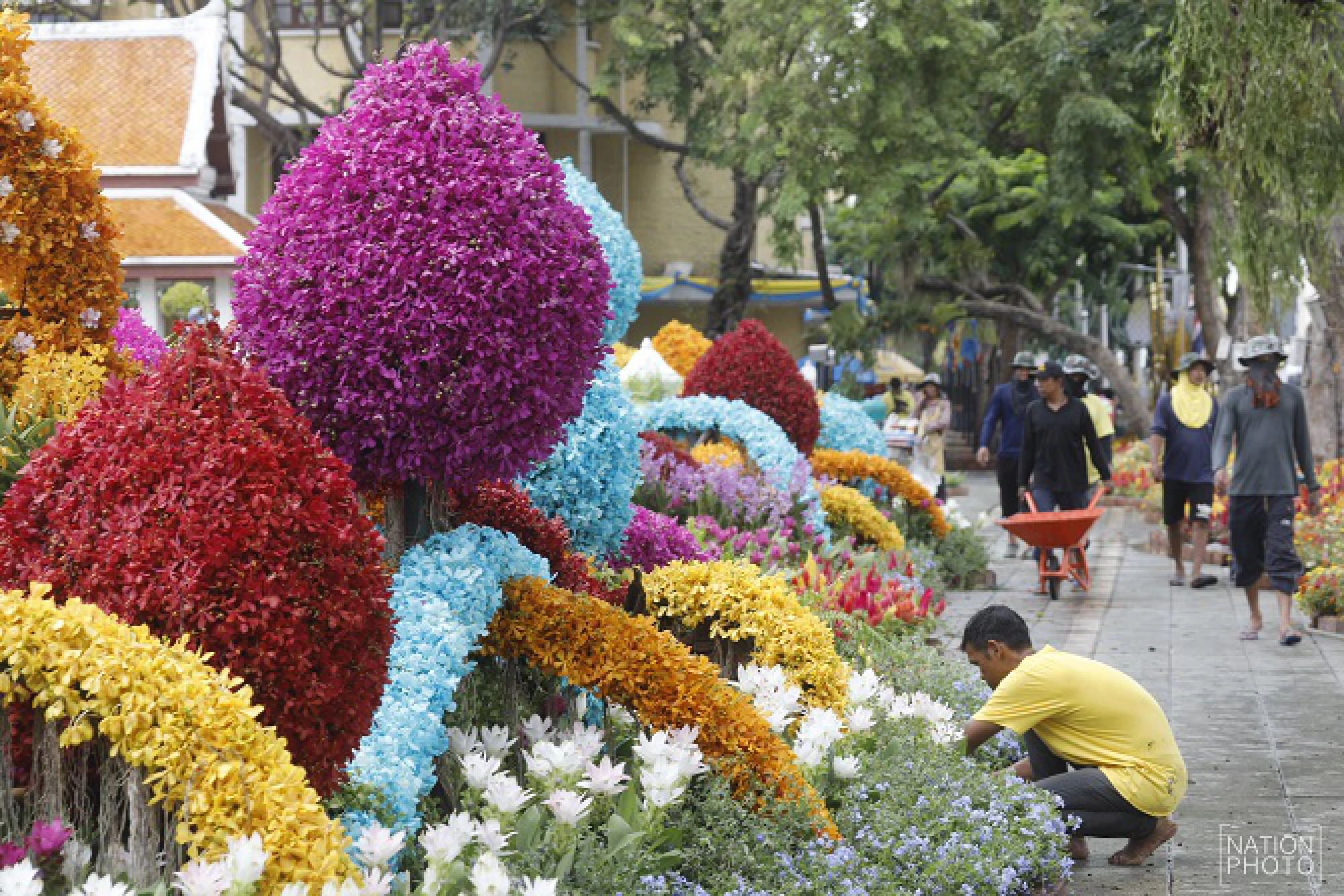 Rajdamnoen Avenue explodes in colour for Queen Mother’s birthday