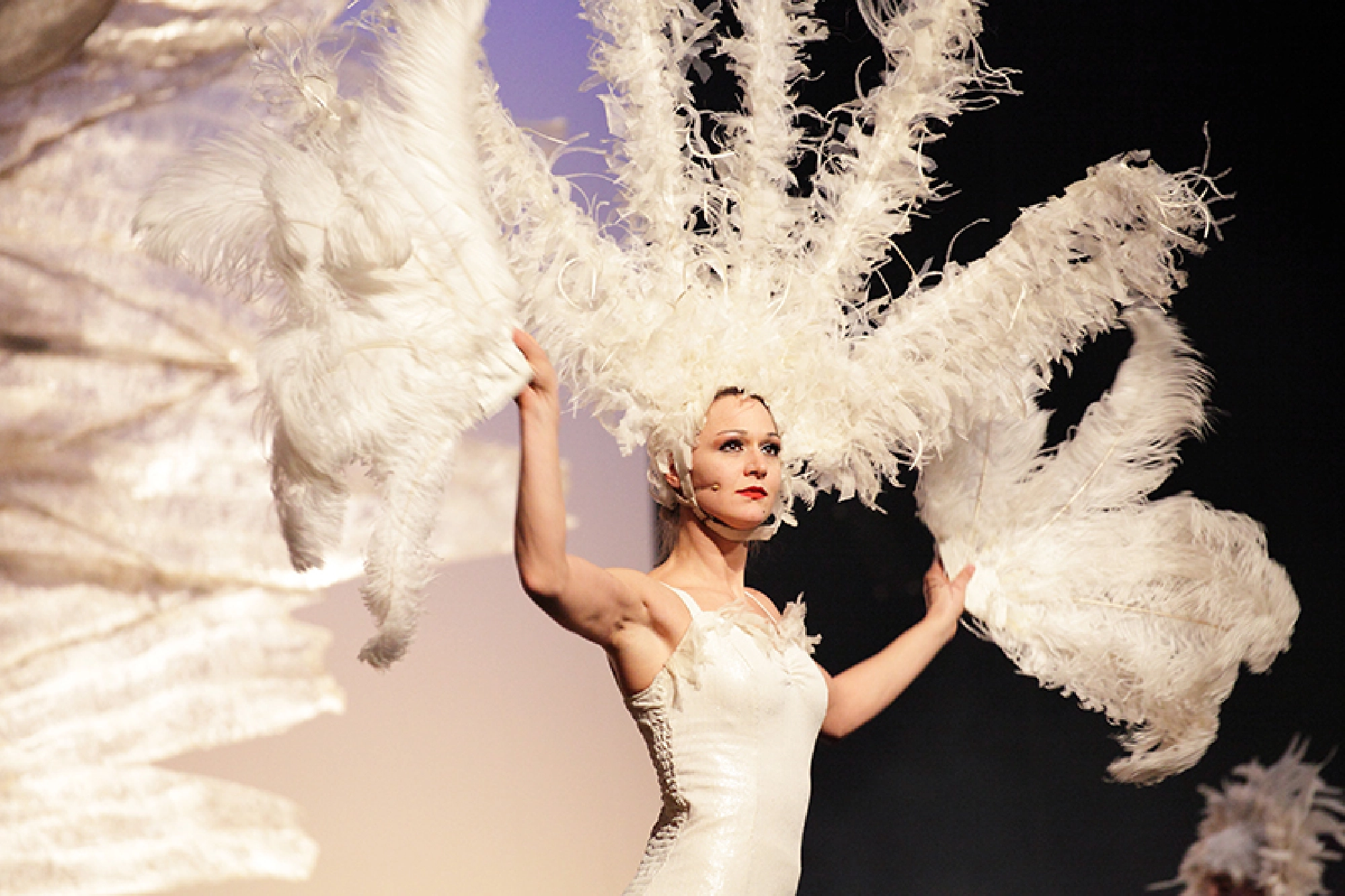 Flights of aesthetic fancy