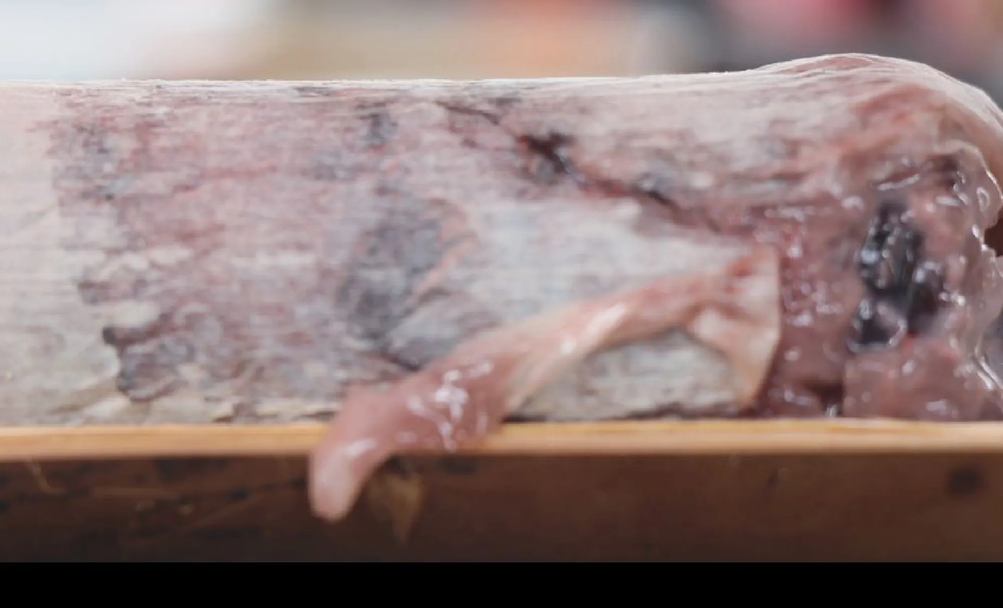 Vendor in Phitsanulok keeps her prices down