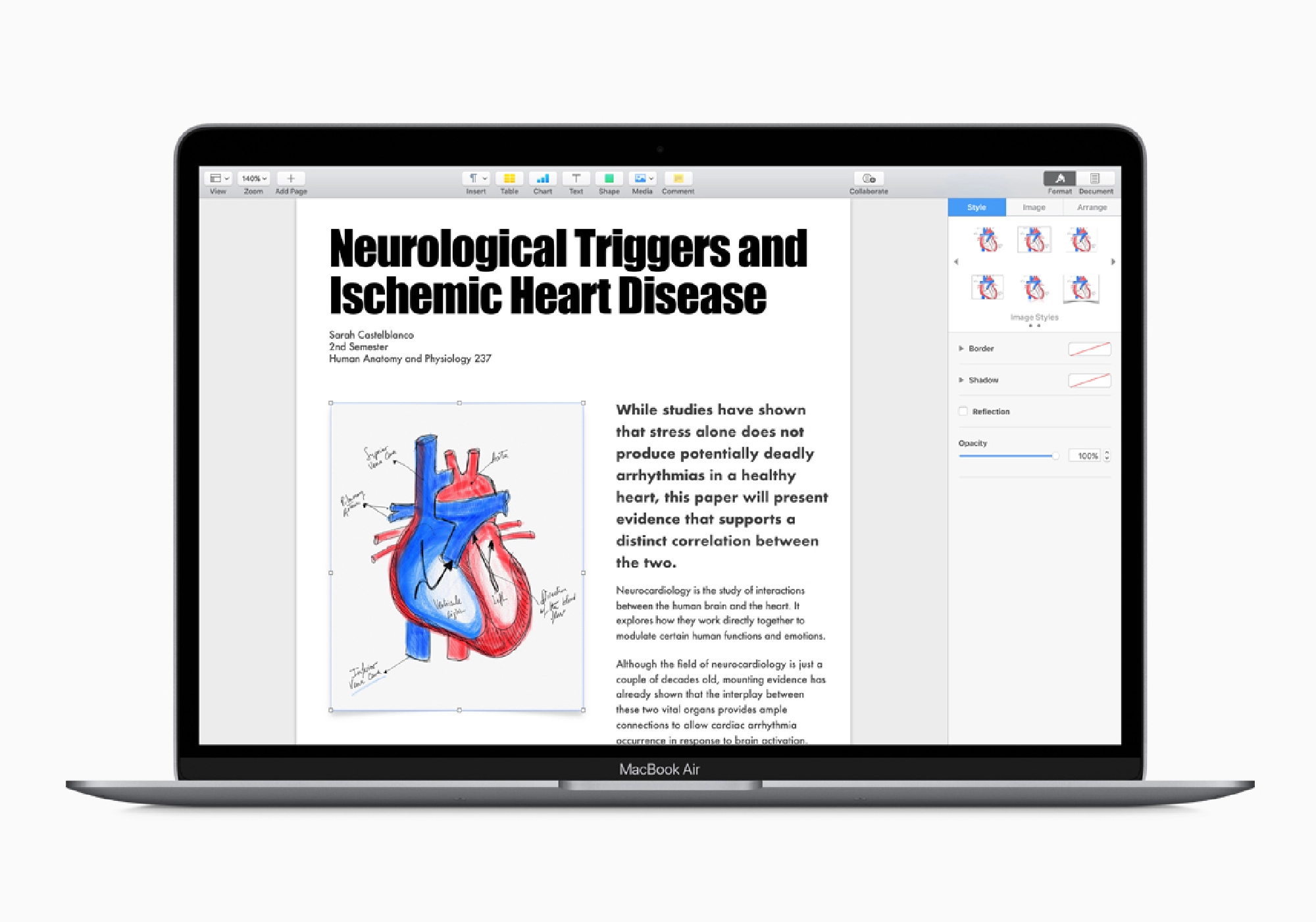 The new MacBook Air does everything you want and more and it comes at a discount if you’re studying