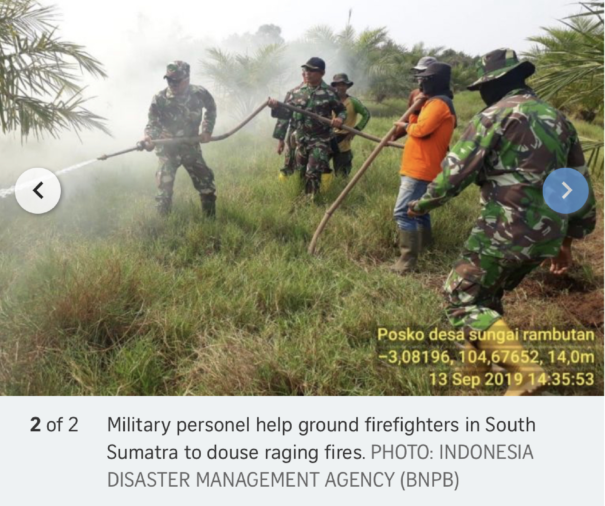 Indonesia seals off plantations operated by 29 firms over fires, including Singapore, Malaysian comp