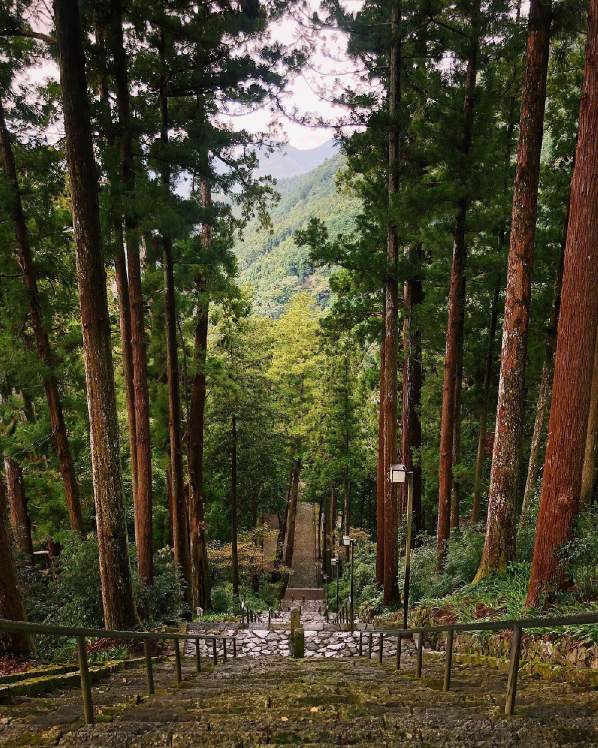 The "Steps to Enlightenment" at Kakurinbo, a Buddhist temple in Japan's Yamagata prefecture. Photo: Natalie Compton/Washington Post.