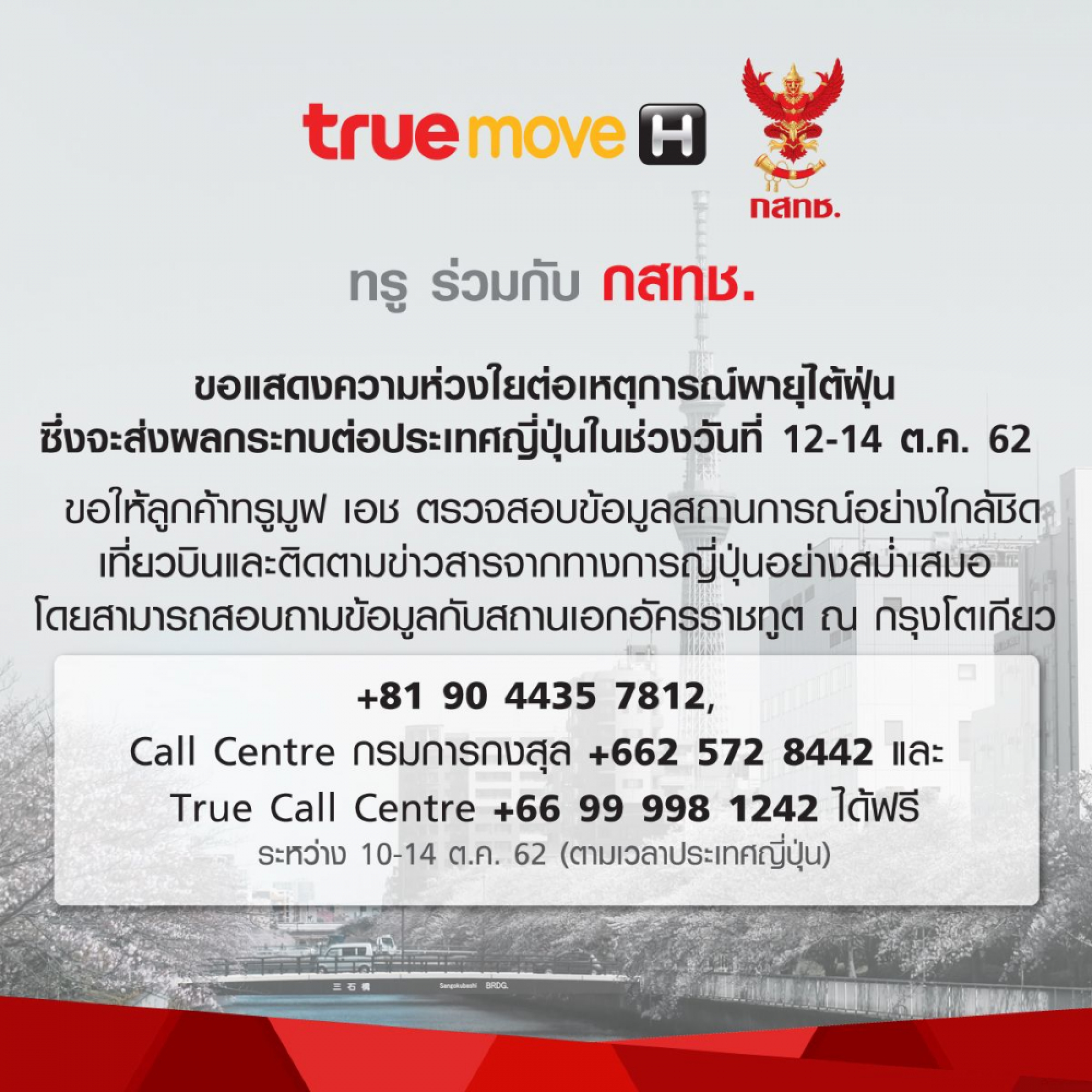 Free calls for assistance as Hagibis hits Japan