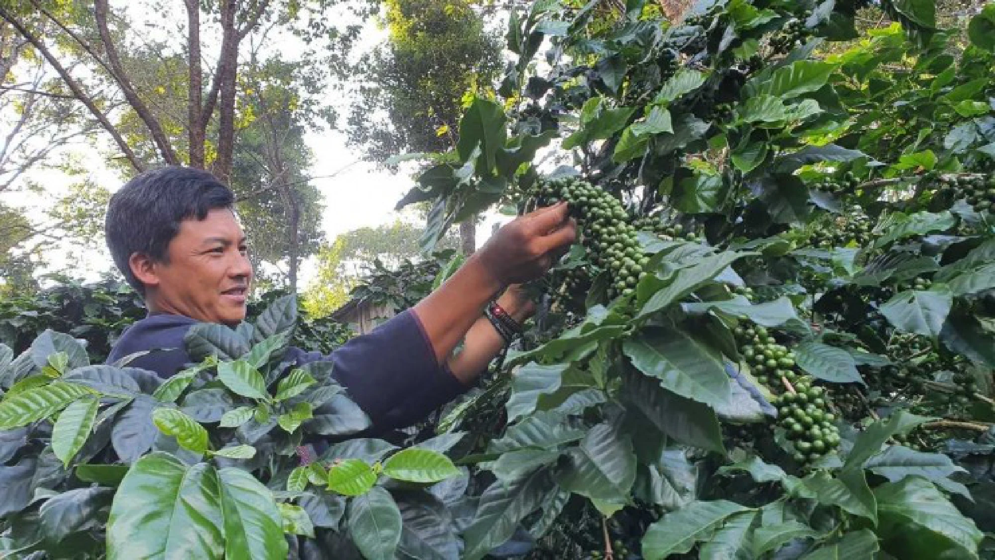Building sustainability with the power of coffee