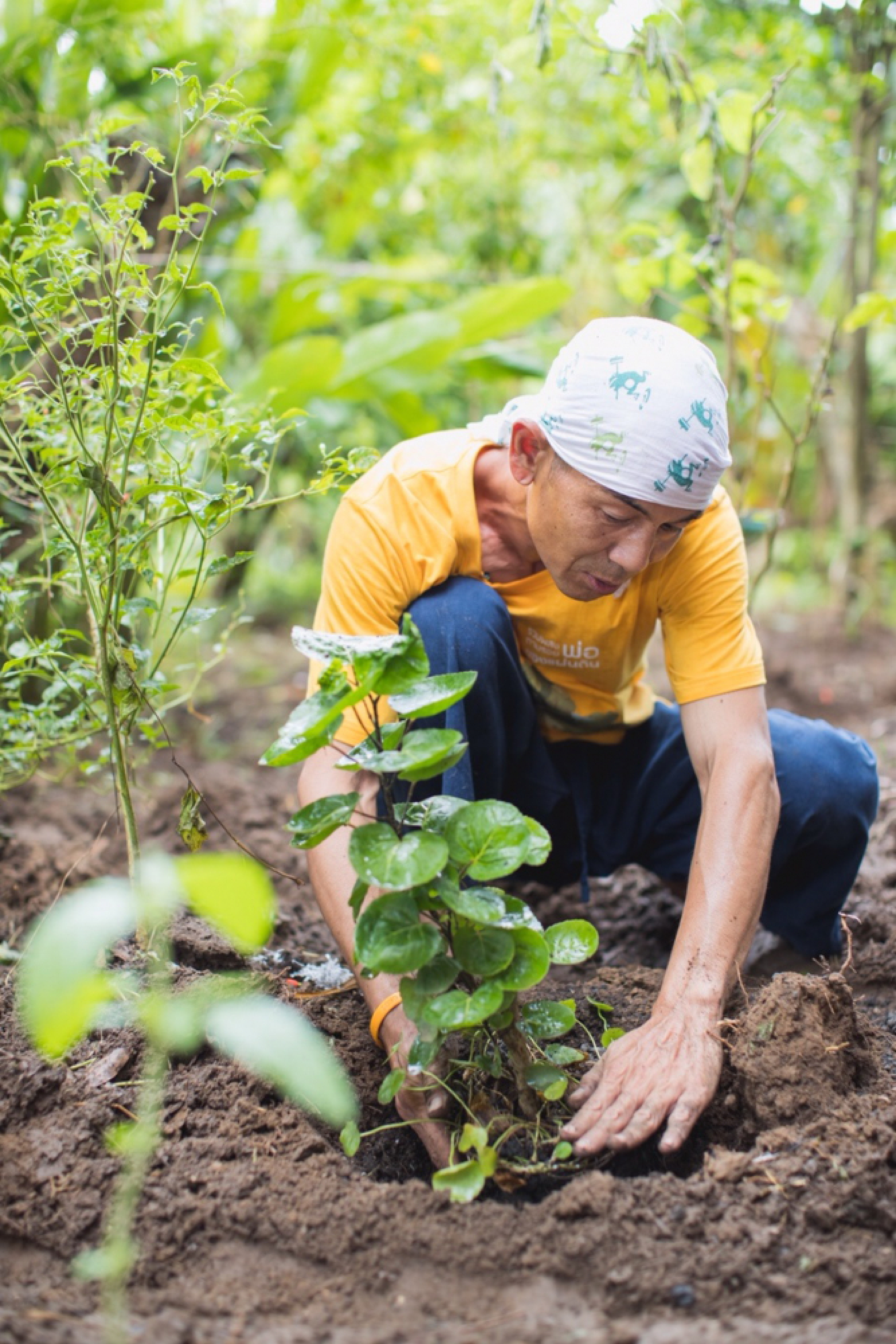 Torvong in his vegetable patch
