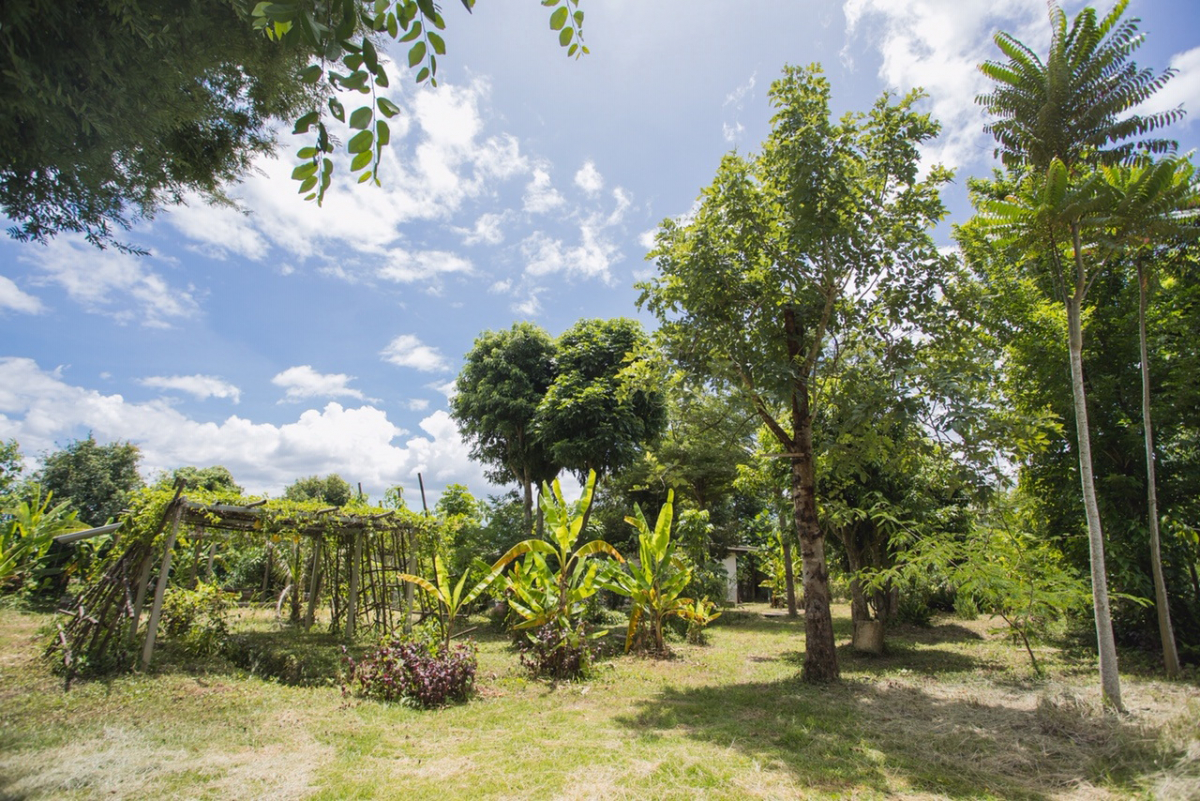 The 3-rai plot has been developed in line with the sufficiency philosophy.