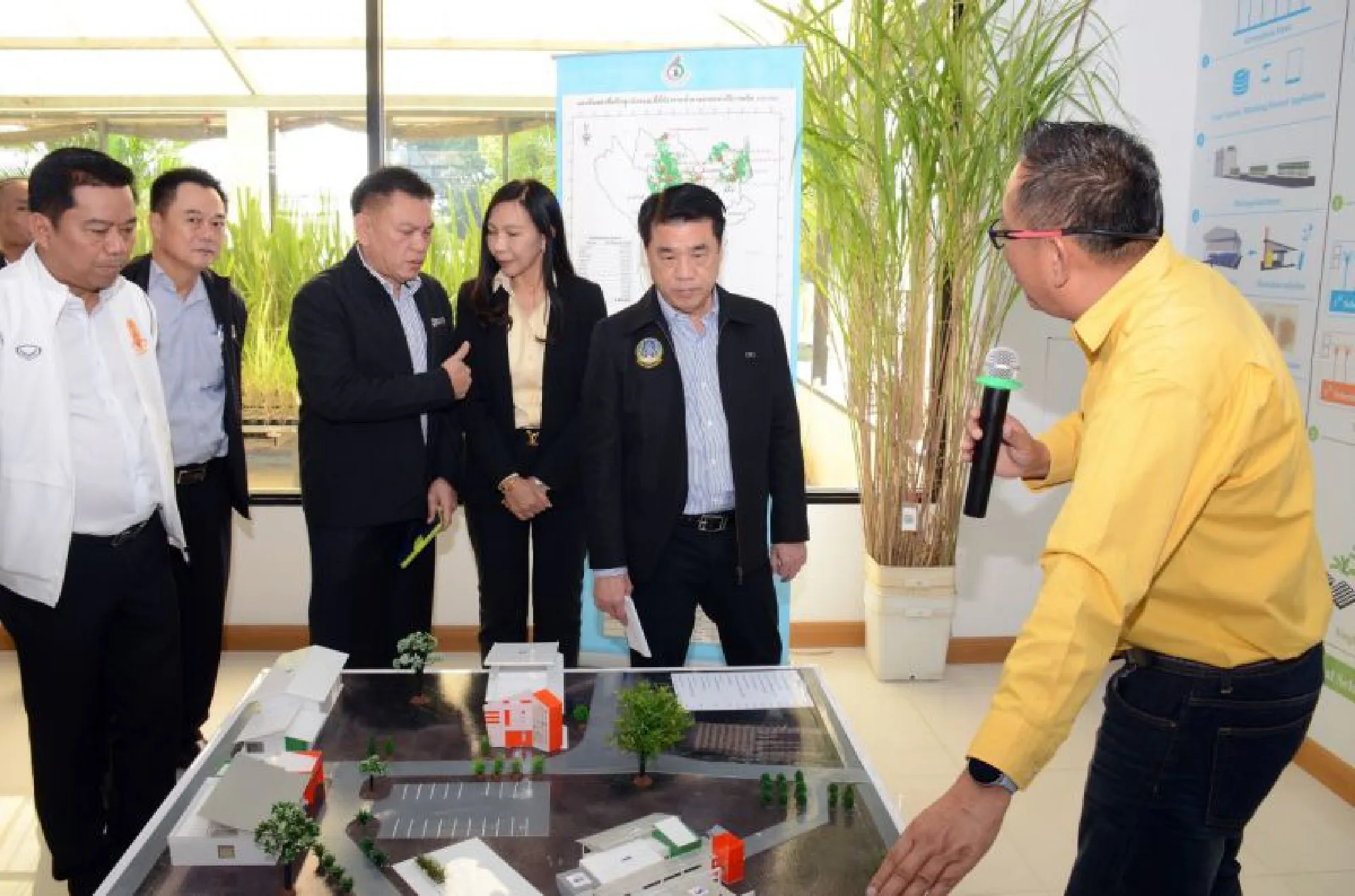 Sugarcane breeding gets a push