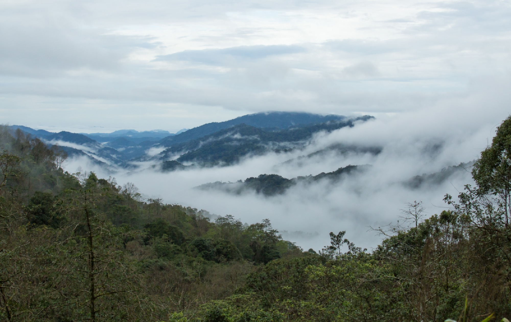 Cool outings: Follow the birdsong to Mae Wong Park