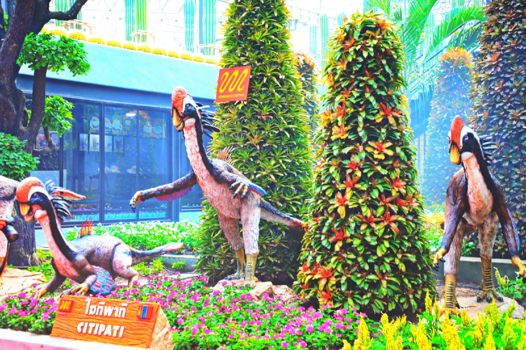 Nong Nooch Tropical Garden offers free admission, but only to some