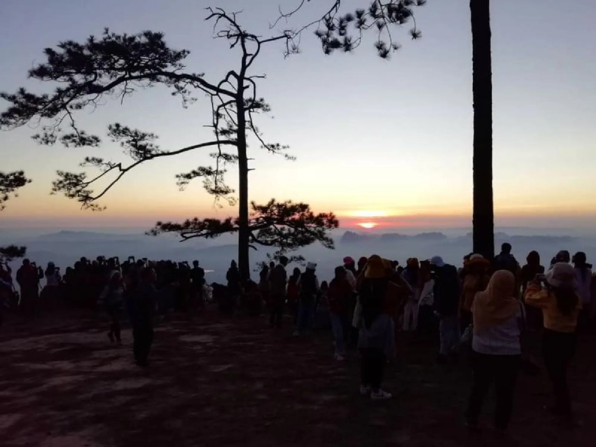 Walks on the wild side