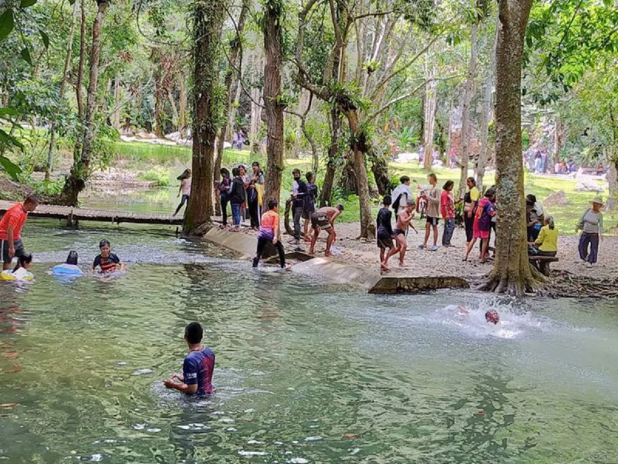 Walks on the wild side