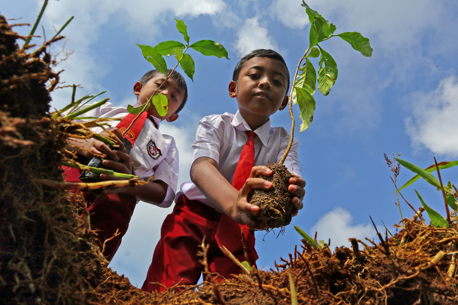 Second prize winner: Let’s Plant the Future by Arif Widodo