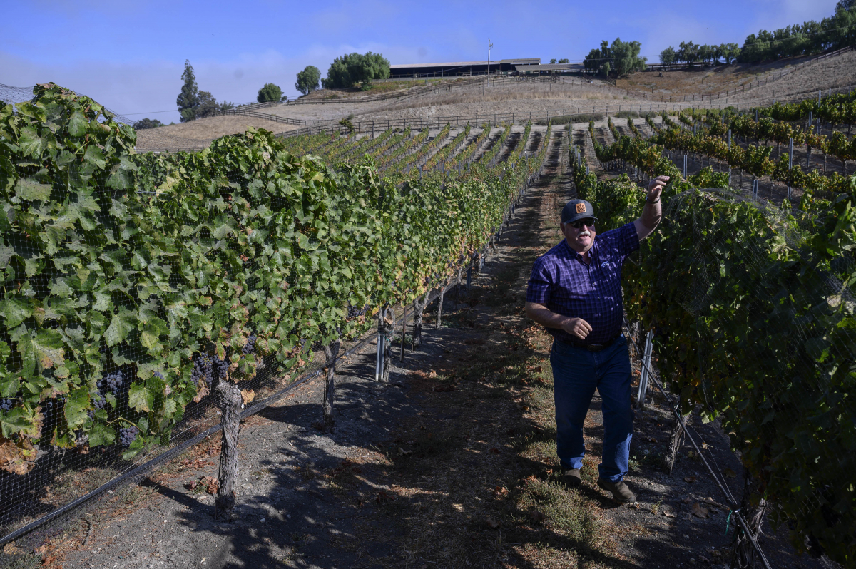 Larry Saarloos, owner of Saarloos and Sons winery, spent hundreds of thousands of dollars on fire-prevention measures around his vineyard, only to find after a power outage that it didn't work. MUST CREDIT: Washington Post photo by Michael Robinson Chavez