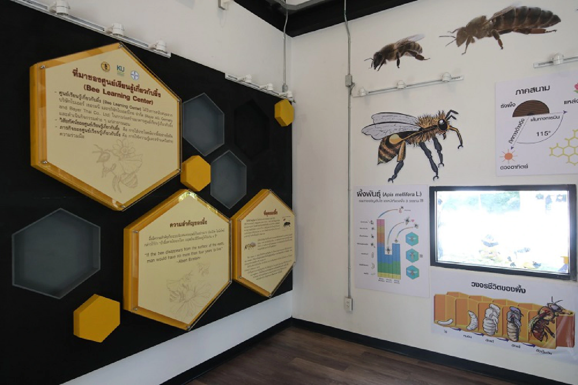 Kasetsart University opens Asia’s first ‘Bee Learning Center’