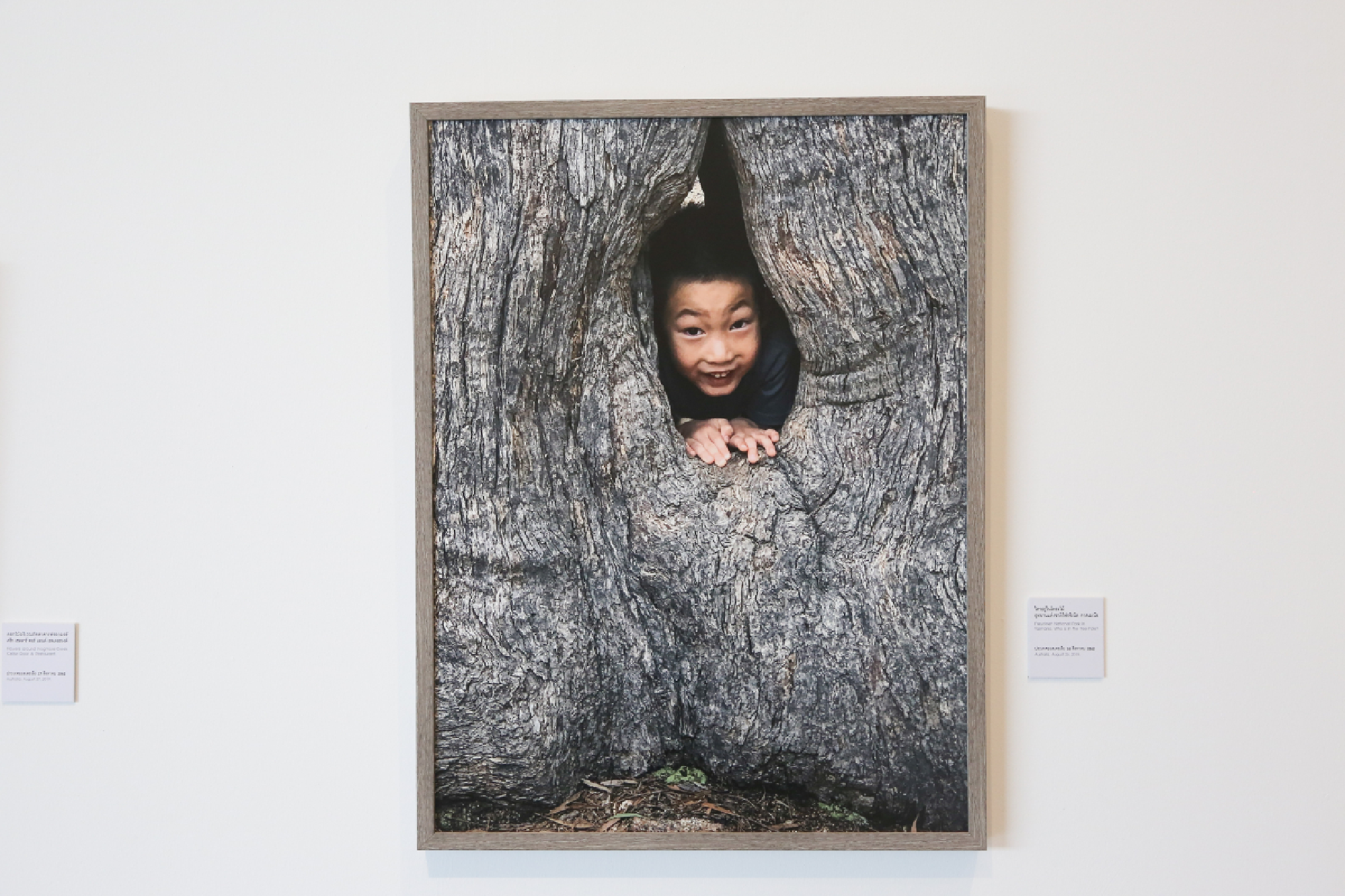 Walking in the Princess’s wonderland