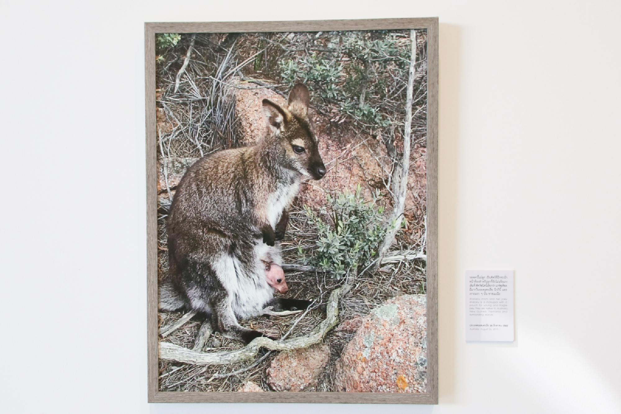 Walking in the Princess’s wonderland