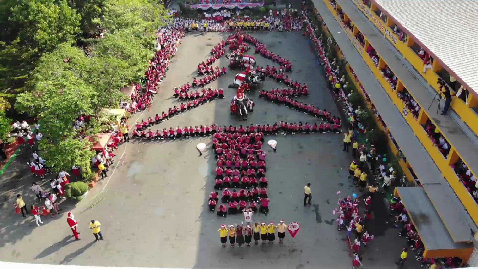 Elephants head to school to celebrate early Christmas 