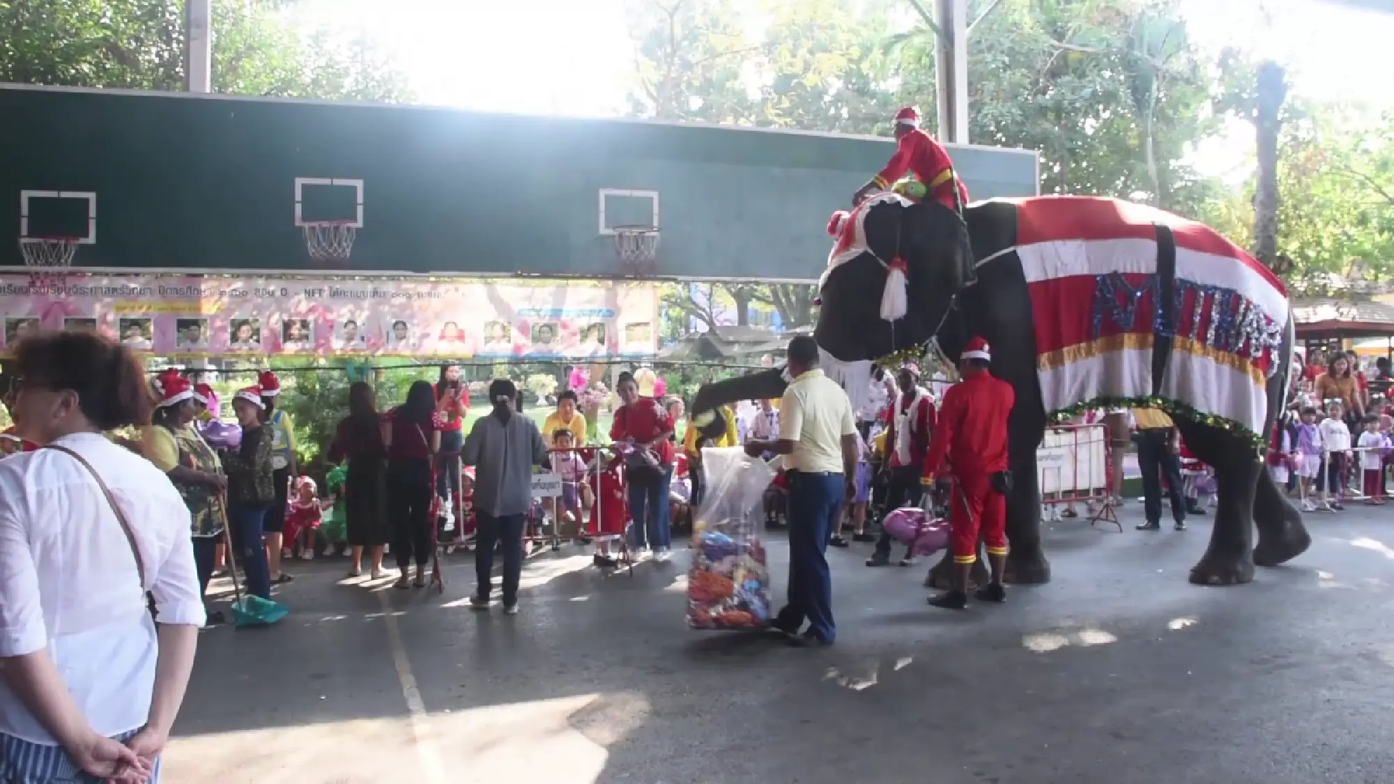 Elephants head to school to celebrate early Christmas 