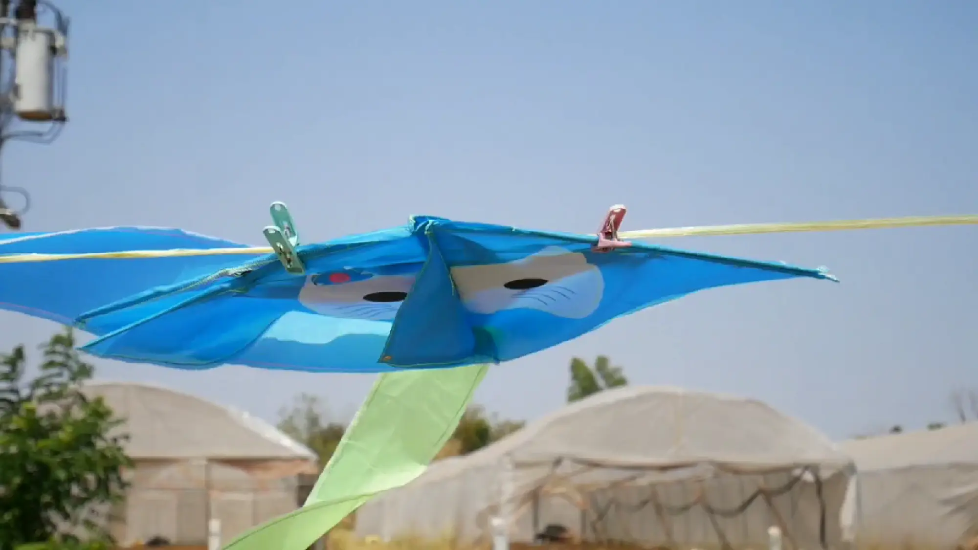 Heavy year-end traffic a boon for roadside vendors