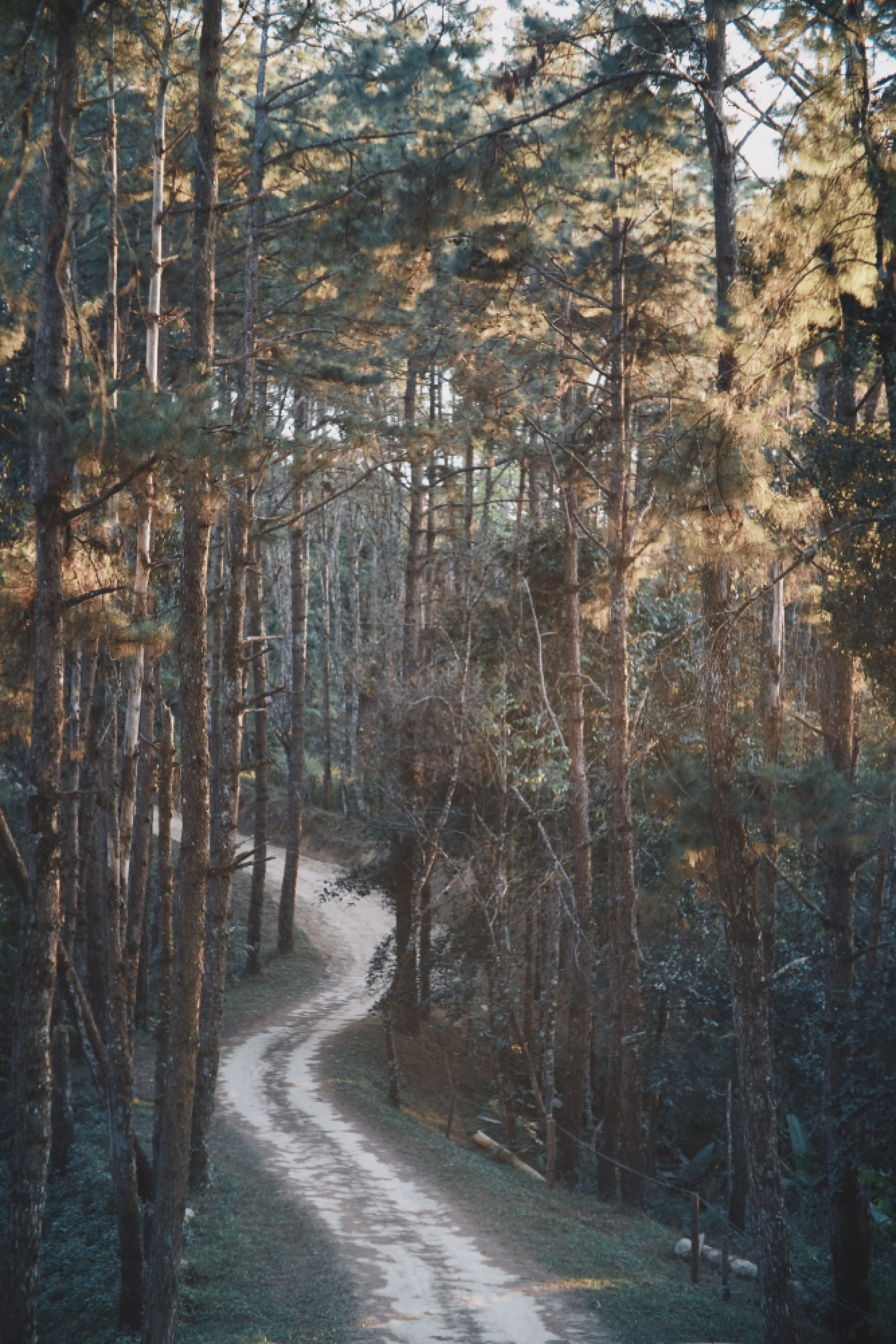 Pa Kia Highland becomes tourist draw