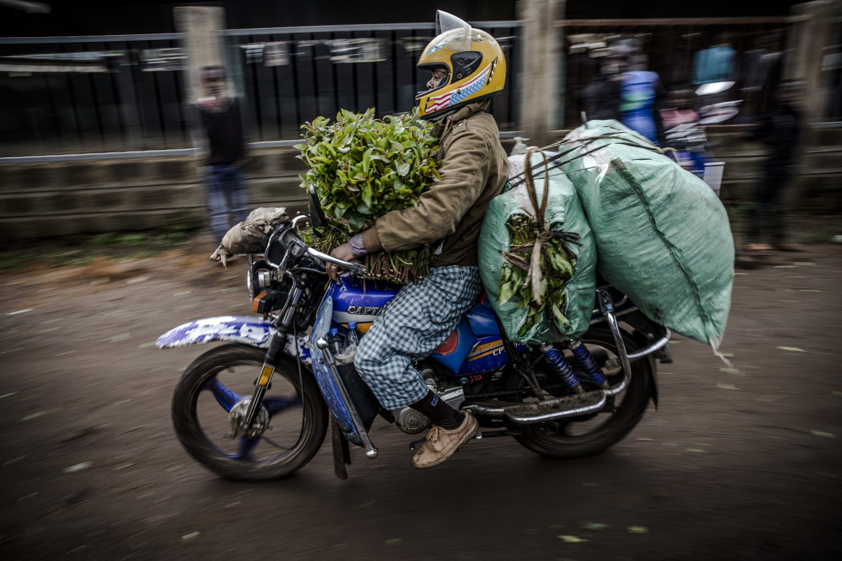 A motorbike driver leaves a market in Maua carrying miraa bunches. MUST CREDIT: Photo for The Washington Post by Luis Tato