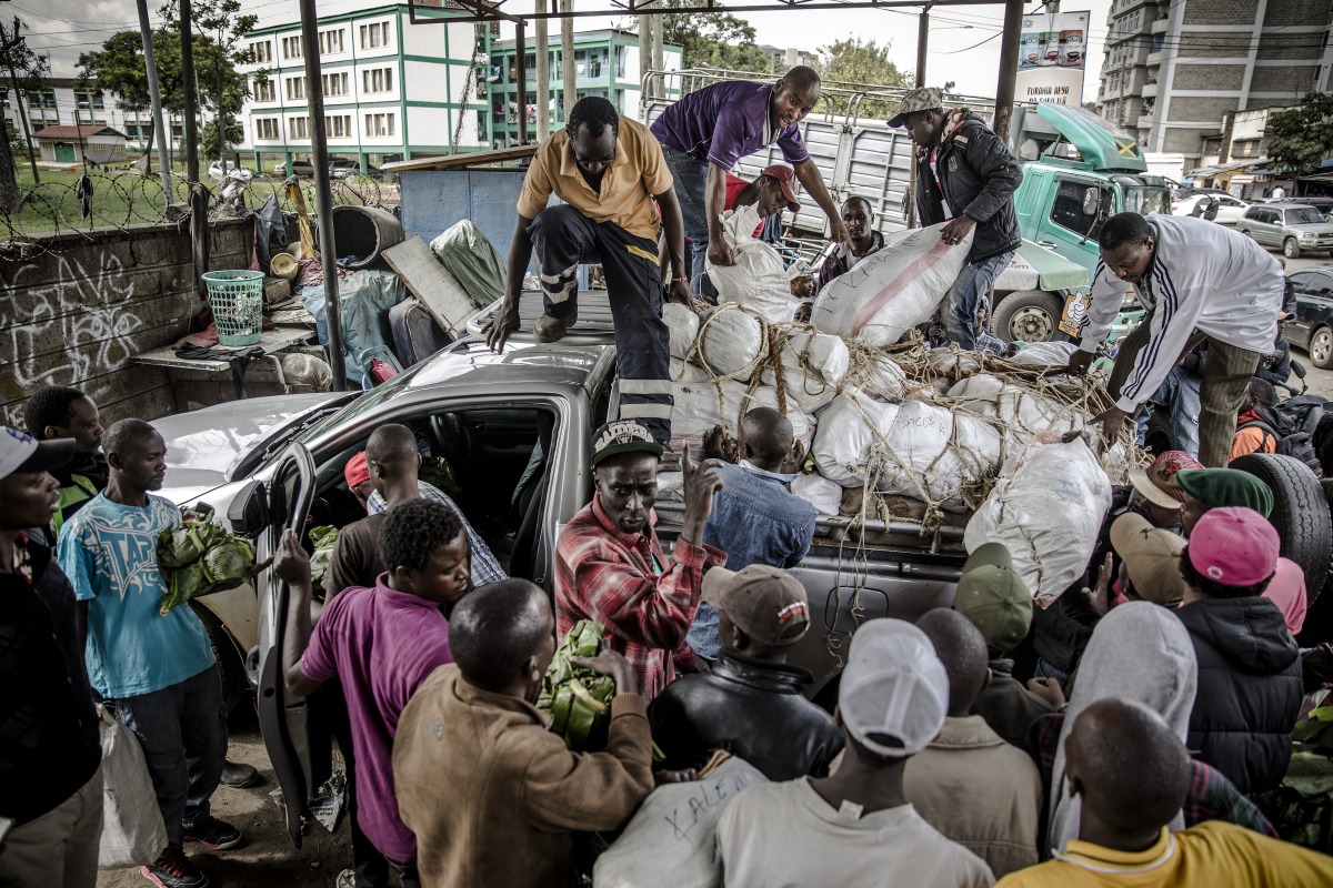 At the end of the drive, miraa is unloaded at a market in Nairobi. MUST CREDIT: Photo for The Washington Post by Luis Tato