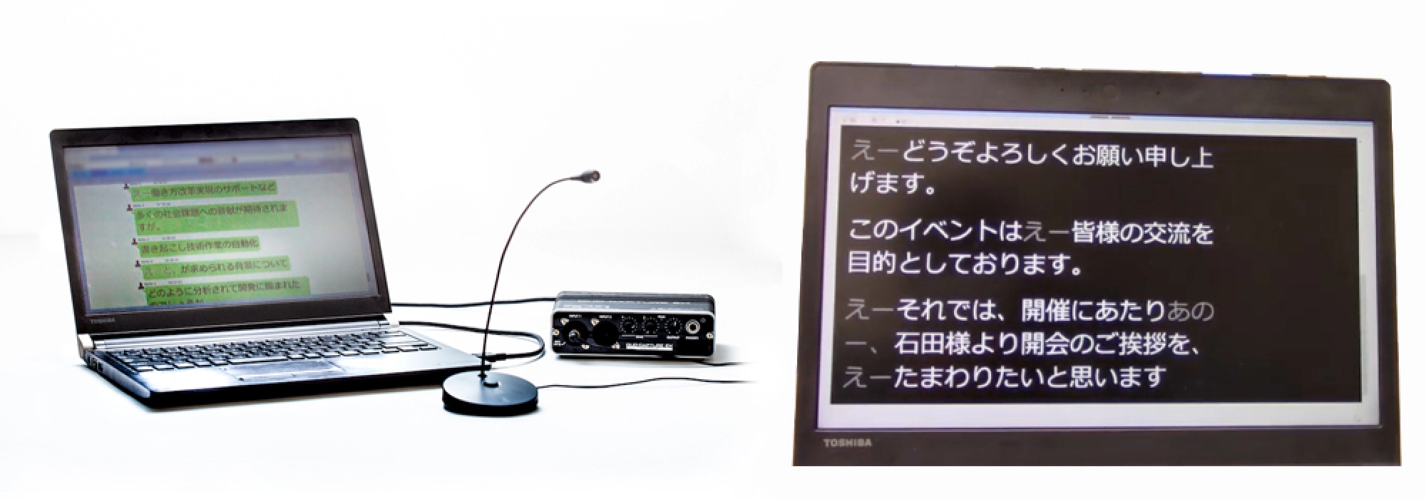 Automatic speech subtitling system (left) and image of displayed subtitles (right)