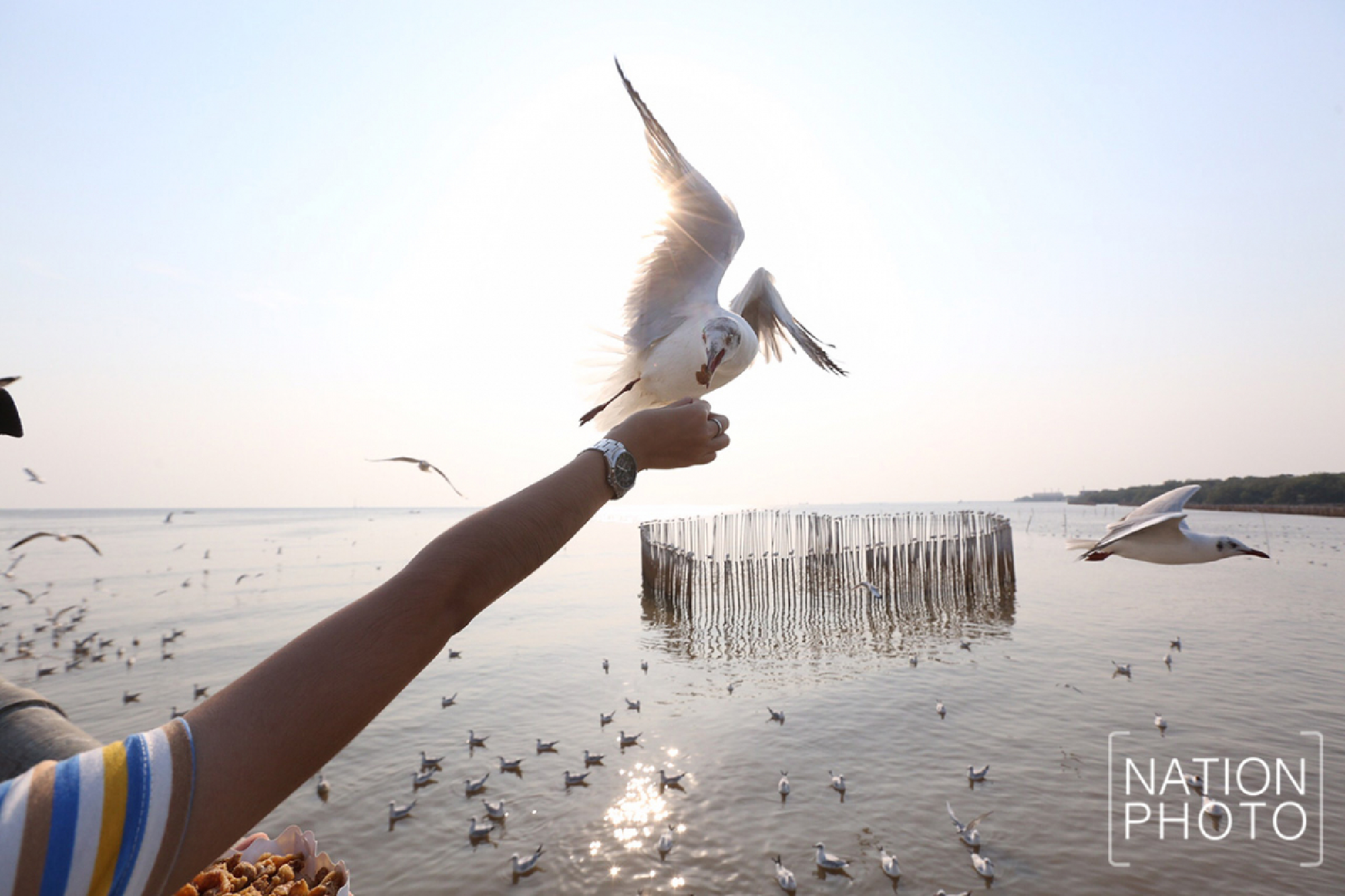 The enduring allure of Bang Pu