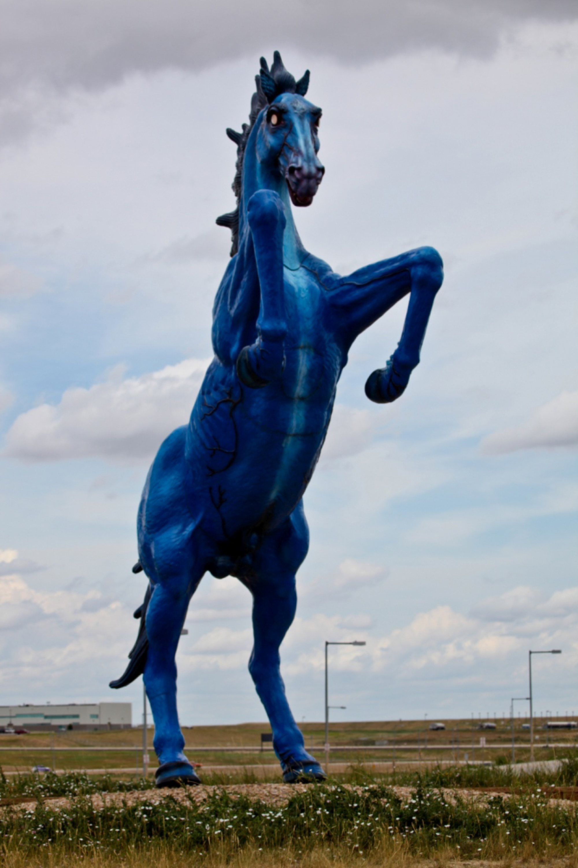 Look up! Airports offer compelling art for busy travelers