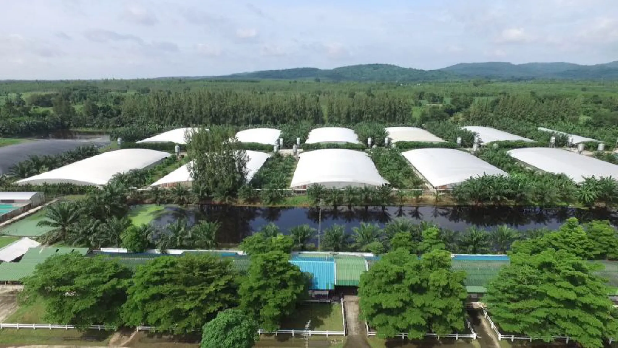 CPF enforces virus-prevention measures, reassures safety of meat products