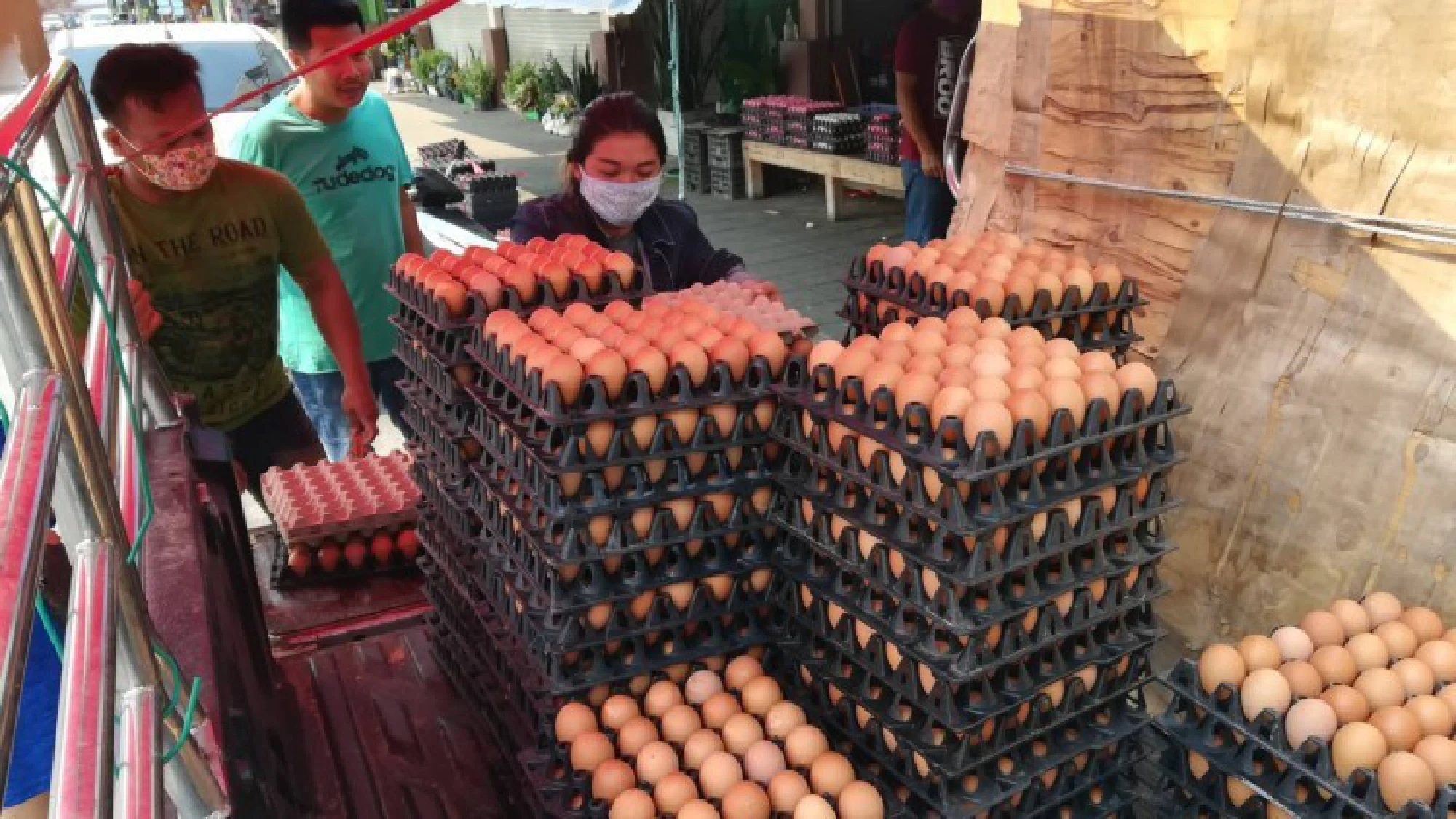 Thailand runs short of eggs